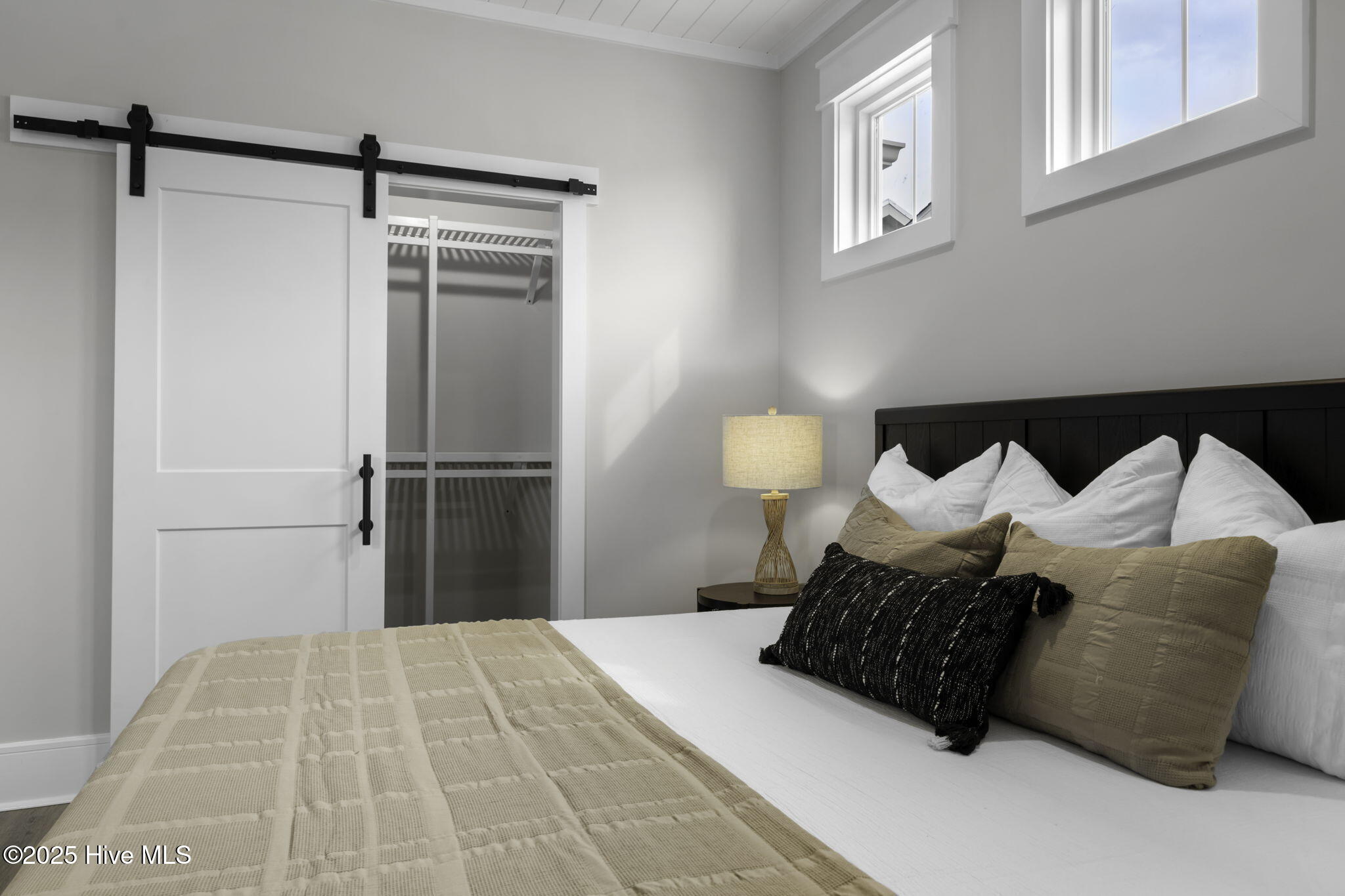 100519689 | Photo 41