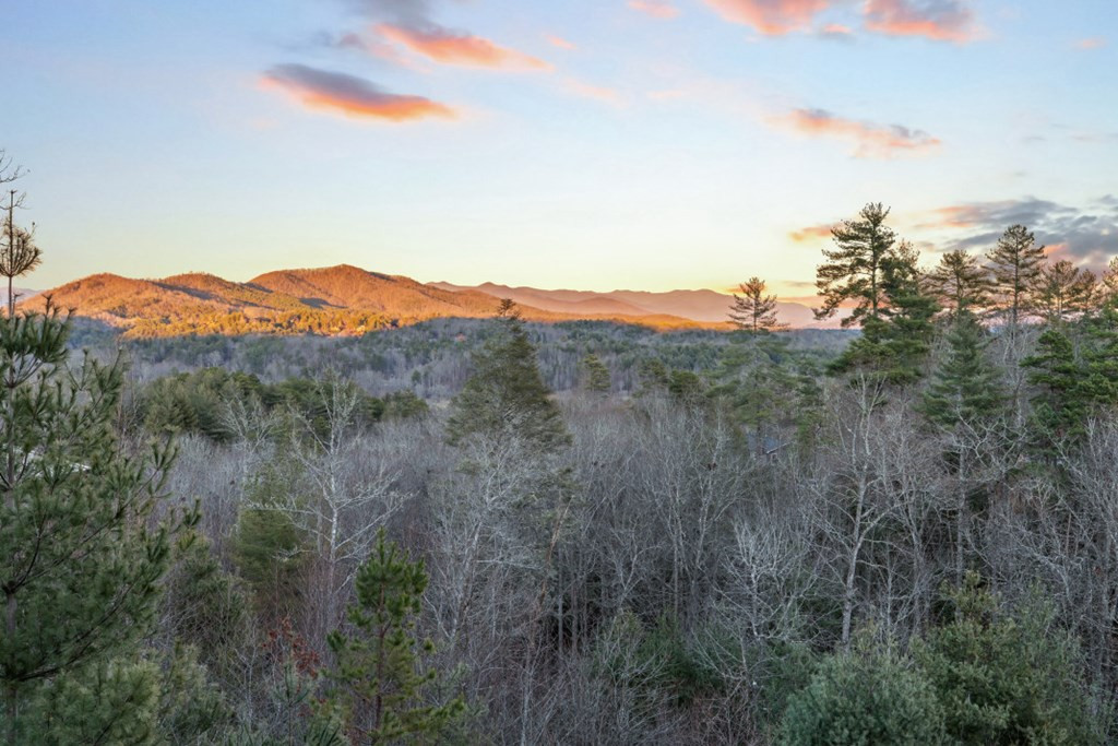 455 Point Overlook Trail, Murphy, NC 28906 Listing Photo  53