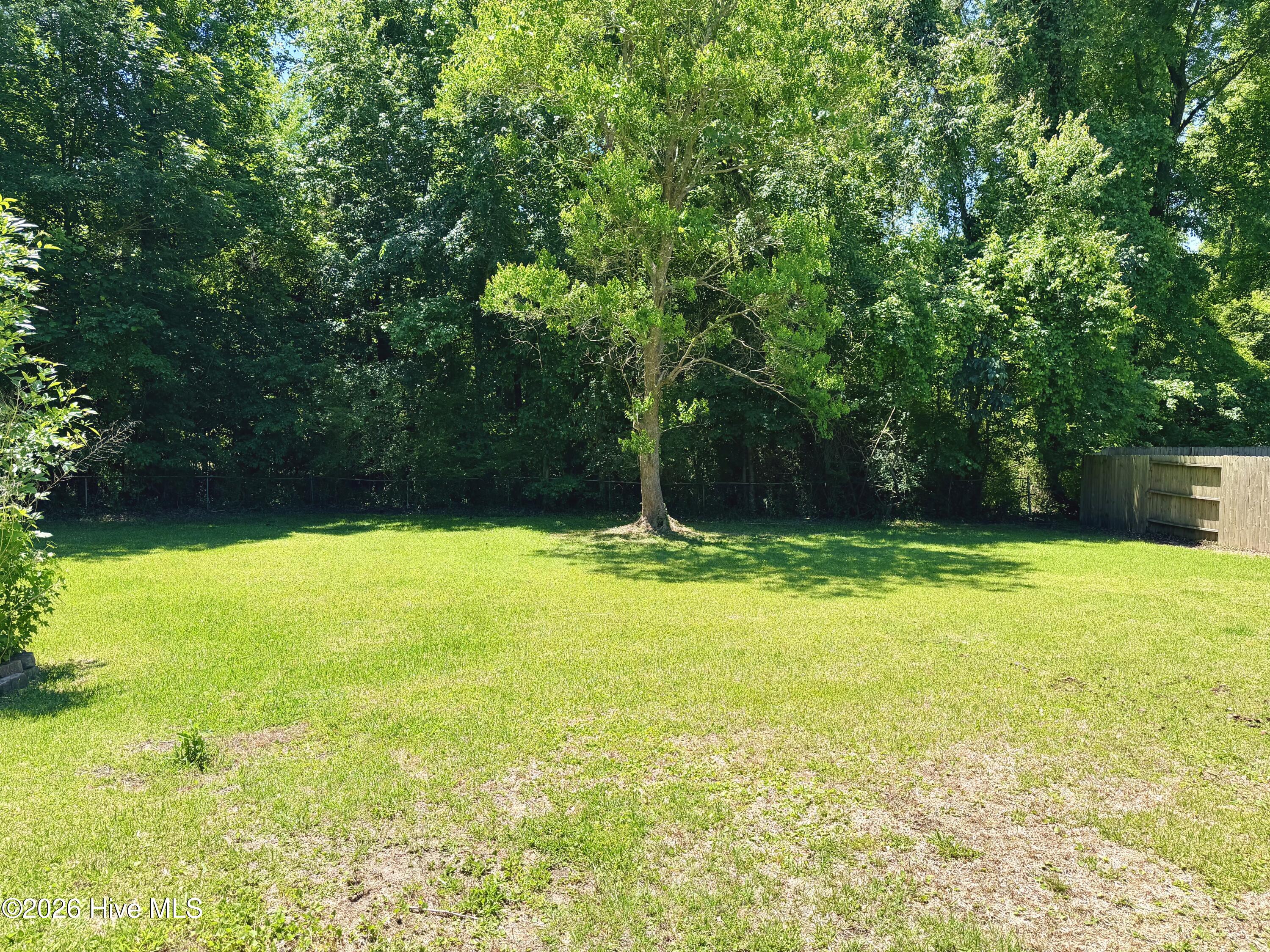 100574898 | Photo 20