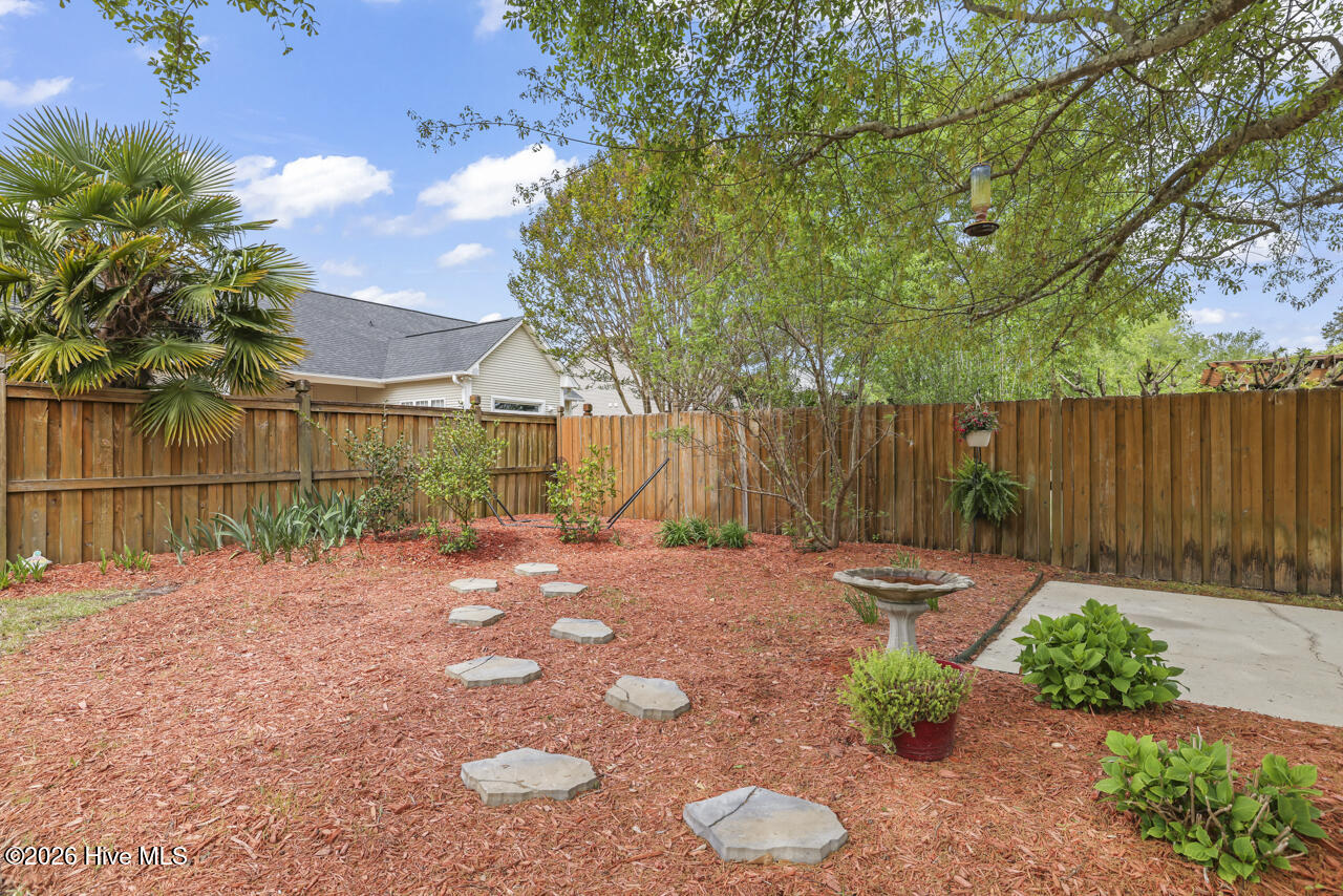 100554989 | Photo 45