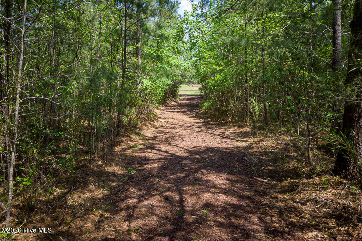 100557146 | Photo 45