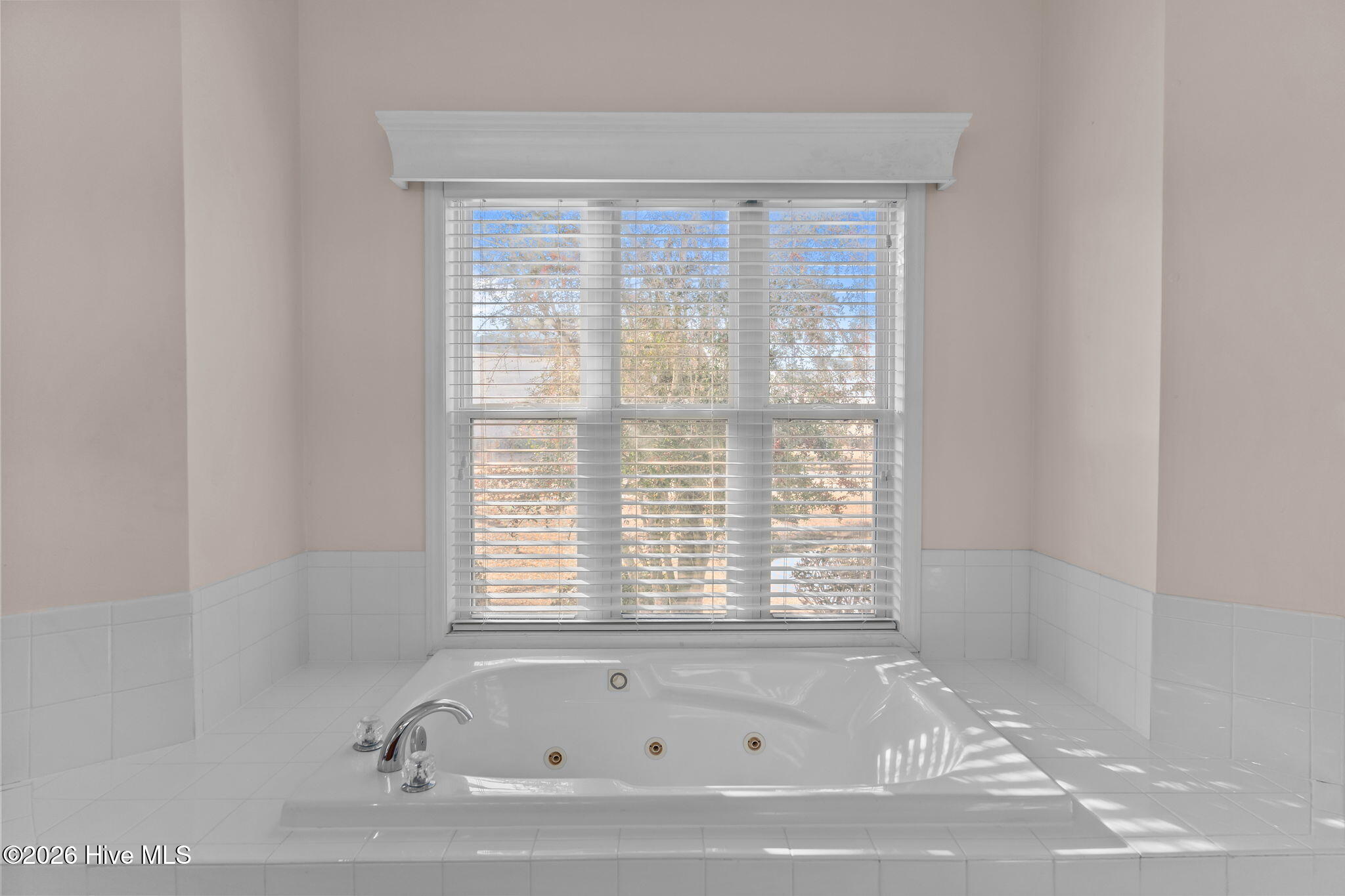 100560742 | Photo 13