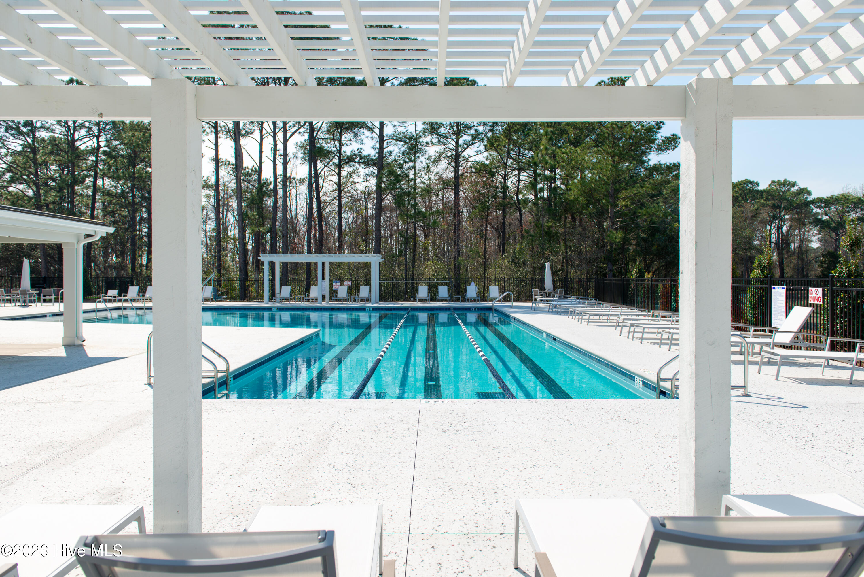 100560299 | Photo 99