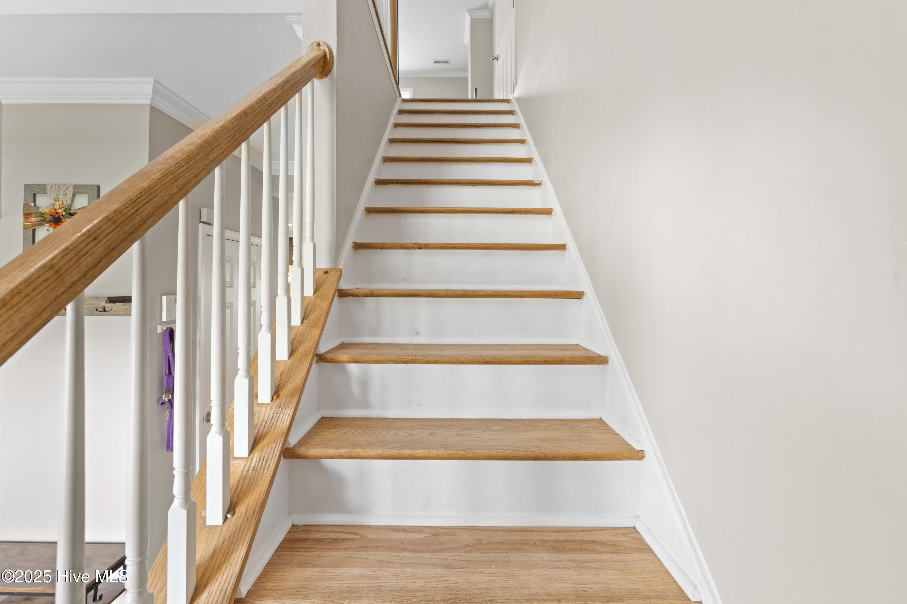 100540143 | Photo 24