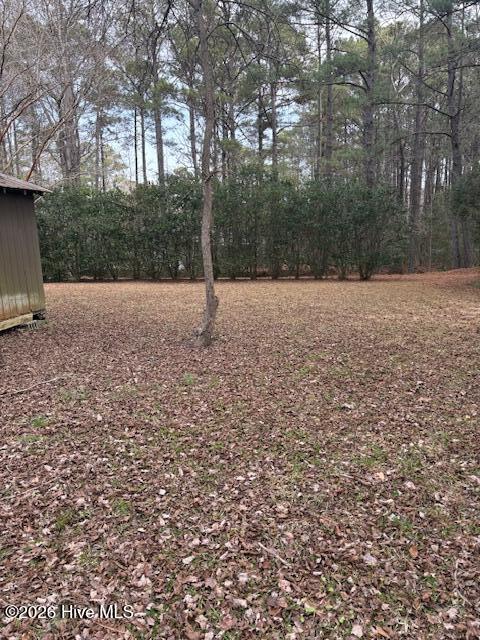 100553362 | Photo 39