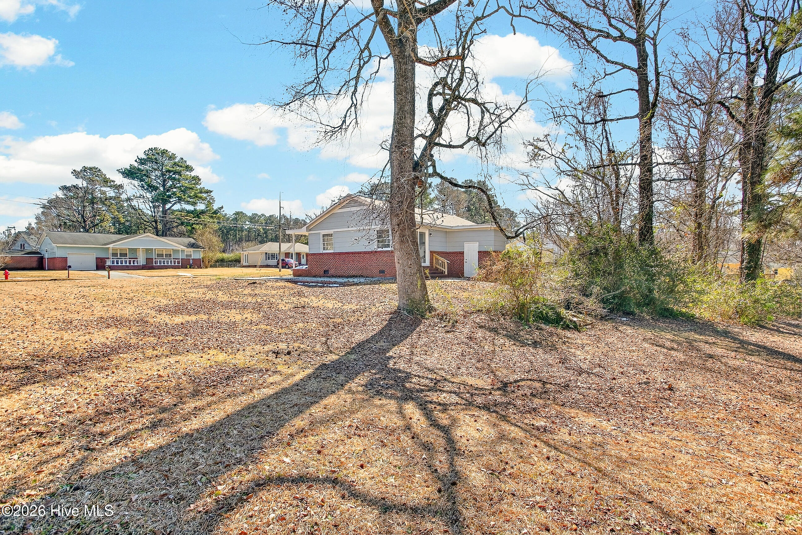 100553454 | Photo 23