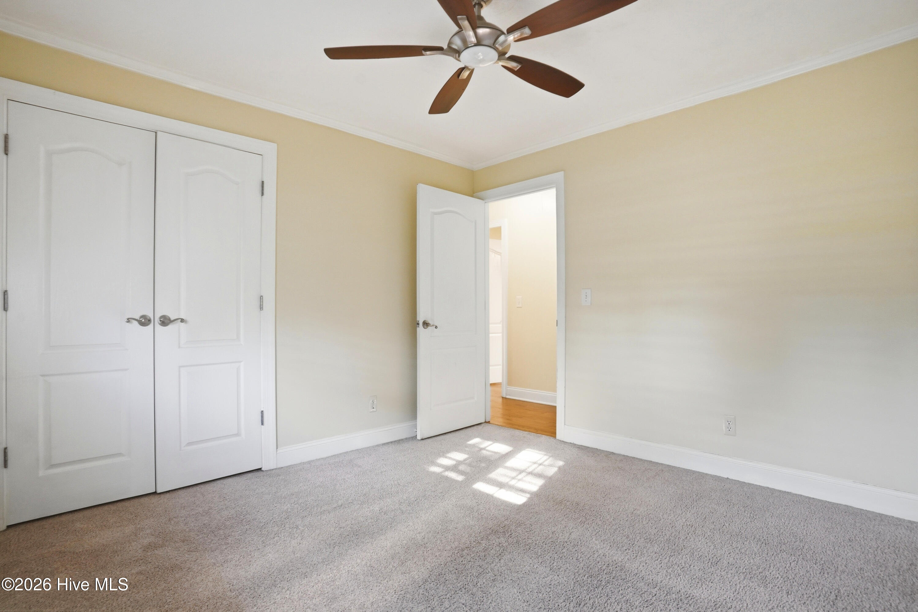 100567003 | Photo 20