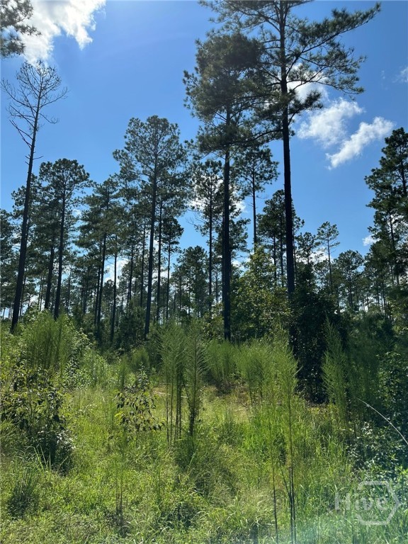 00 Fears, Madison, GA, 30650