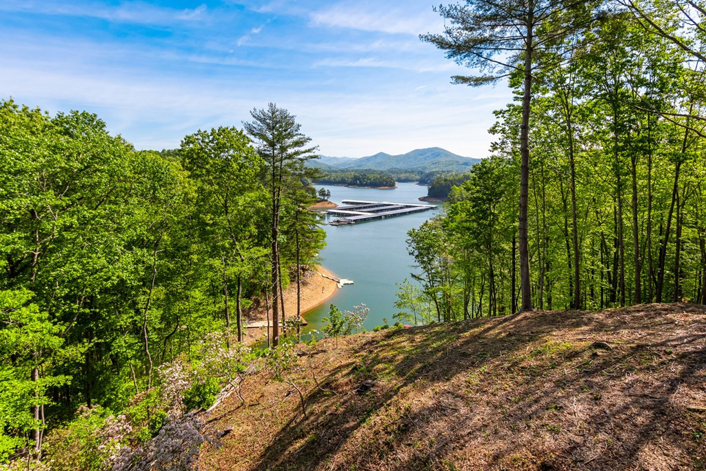 87 Snowbird Lane, Murphy, NC 28906 Listing Photo  31