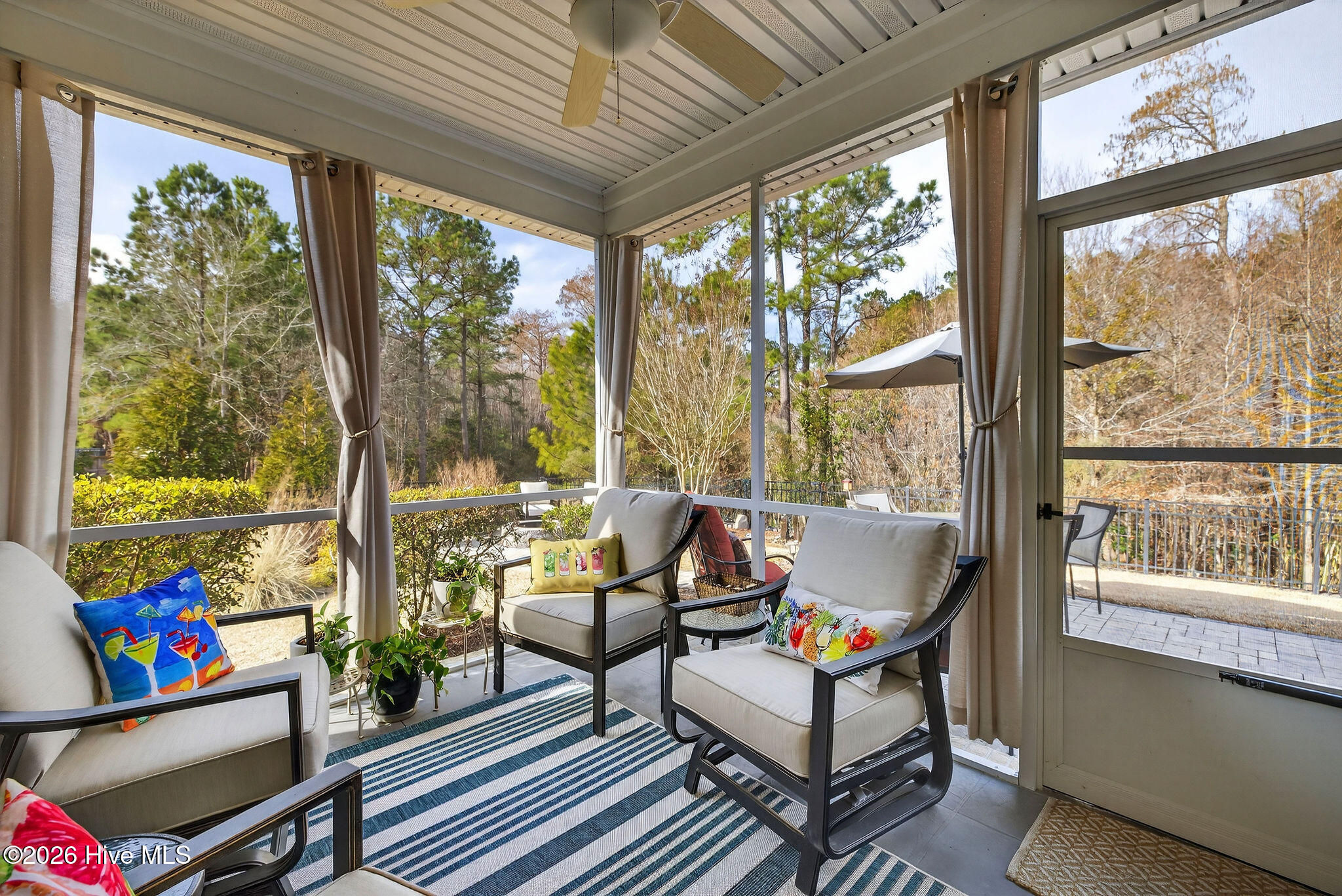 100558265 | Photo 43