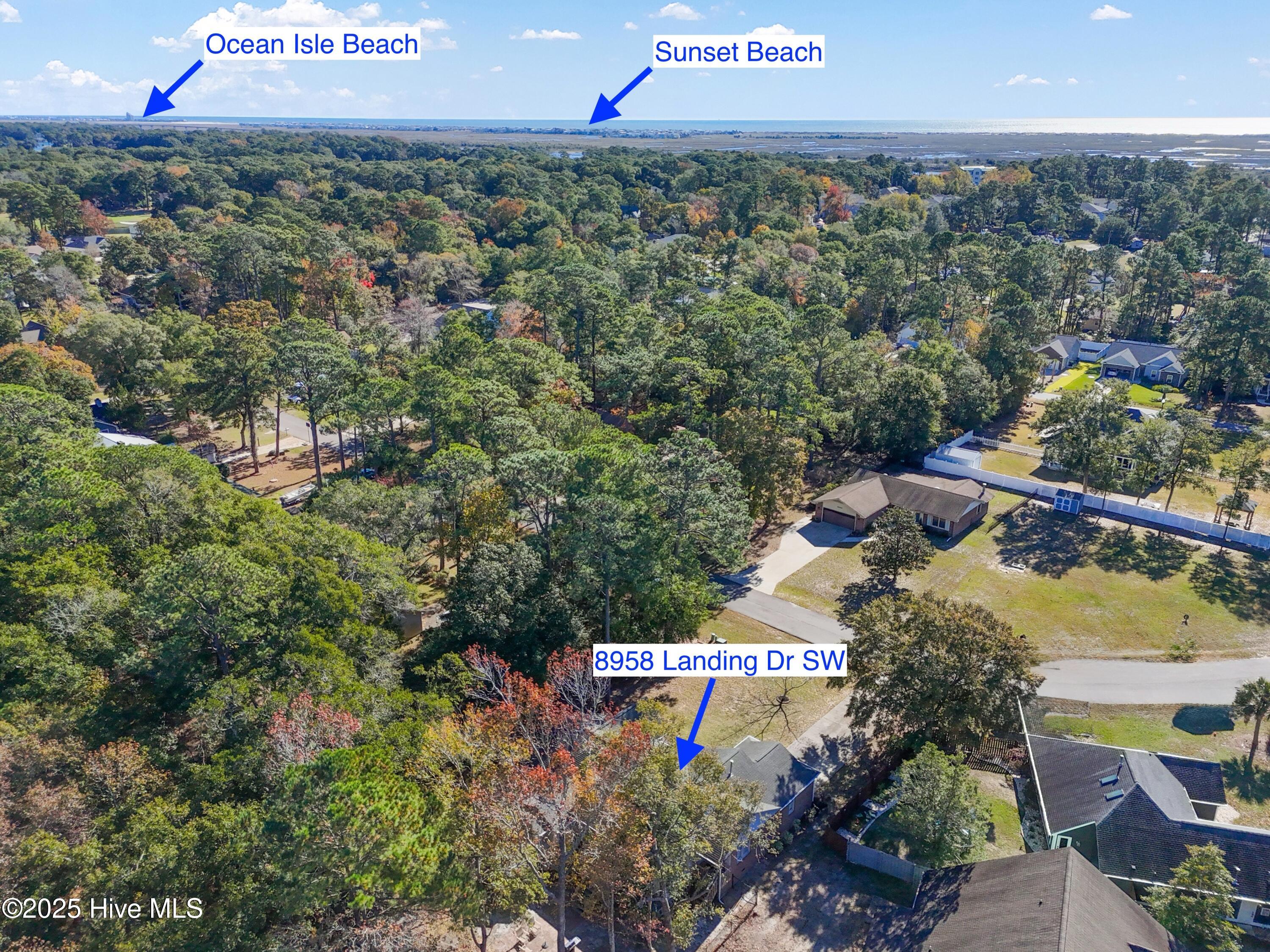 100539605 | Photo 58