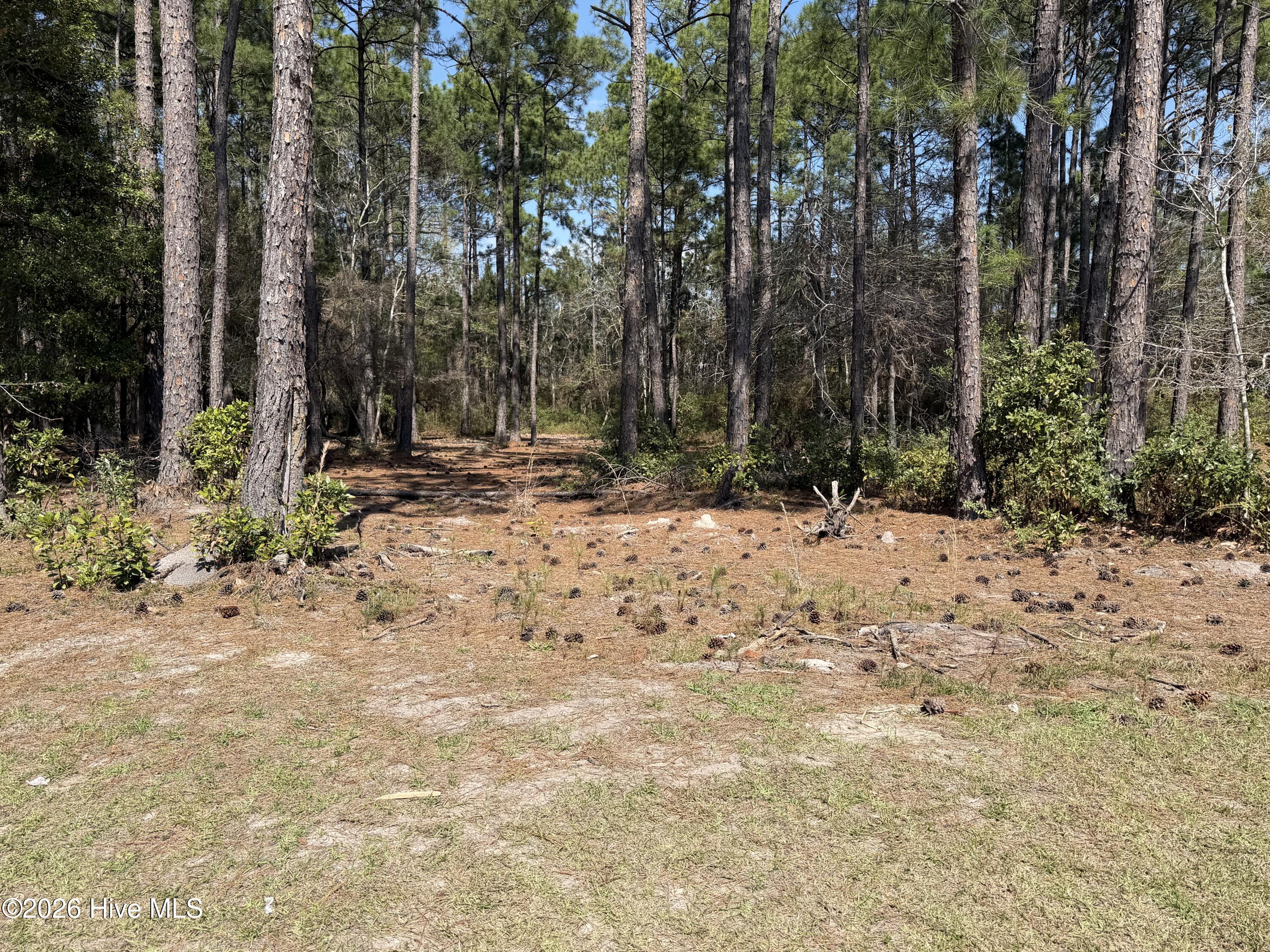 6786 Holton Place, Ocean Isle Beach, NC, 28469