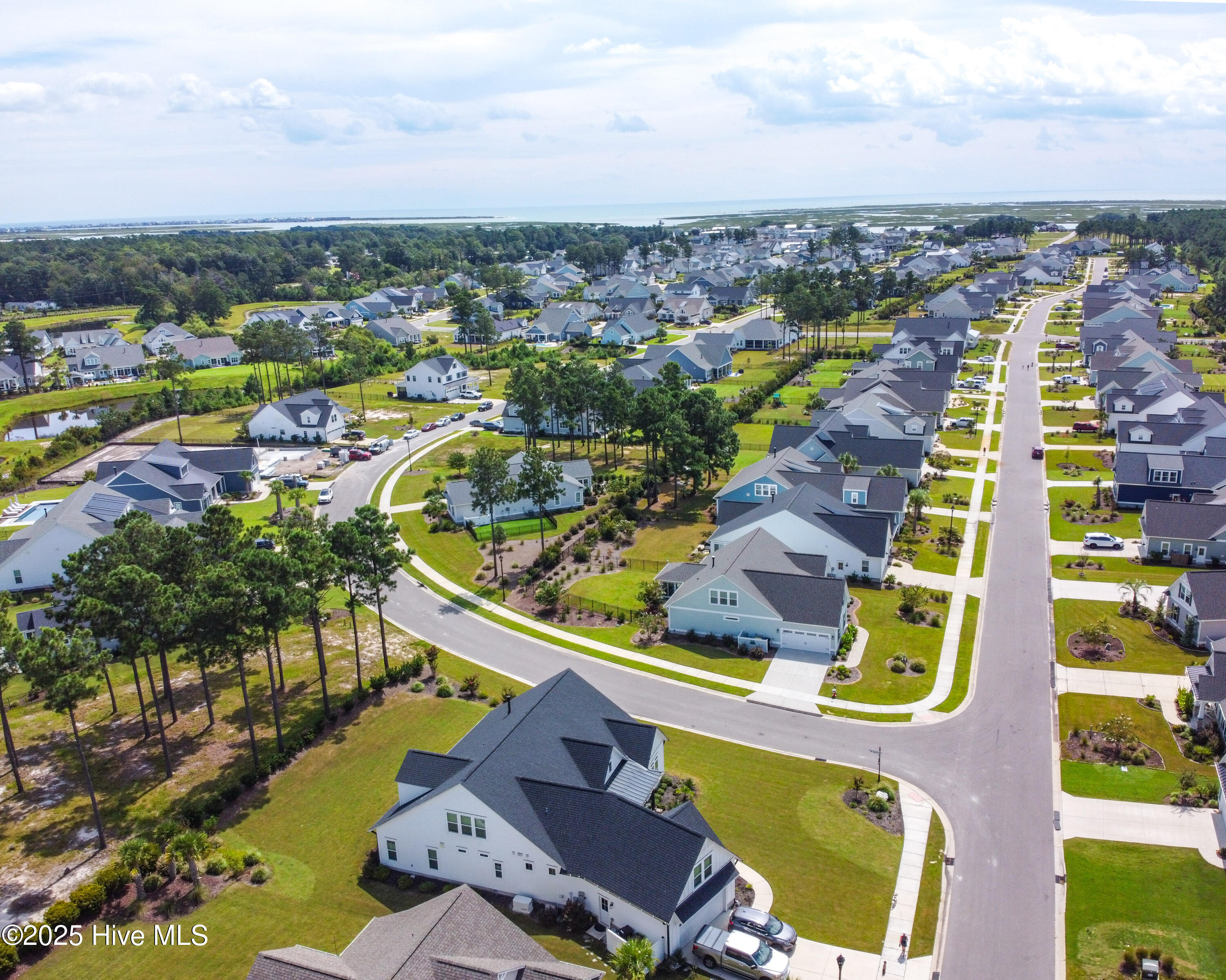 100489115 | Photo 26