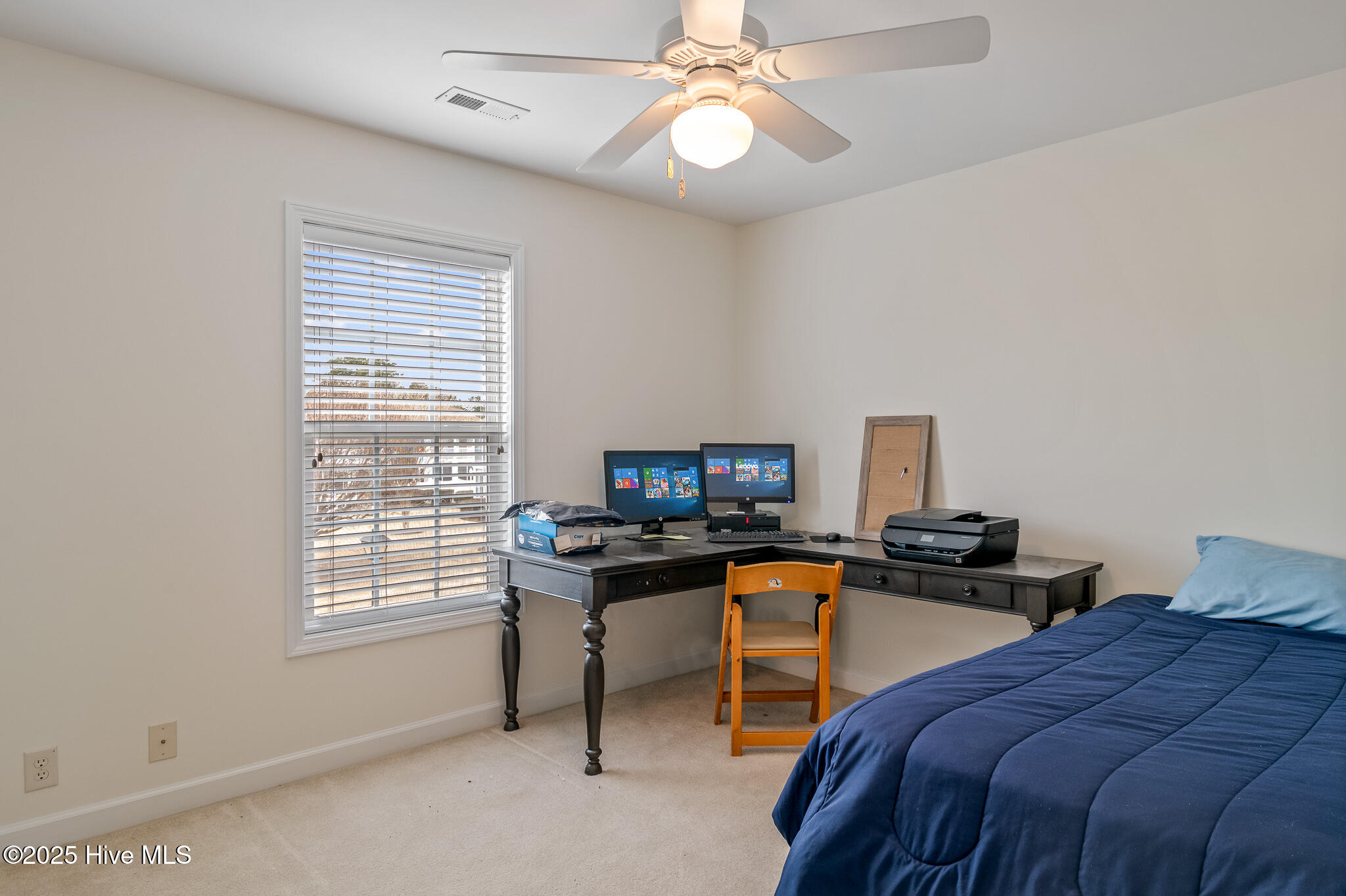 100565271 | Photo 20