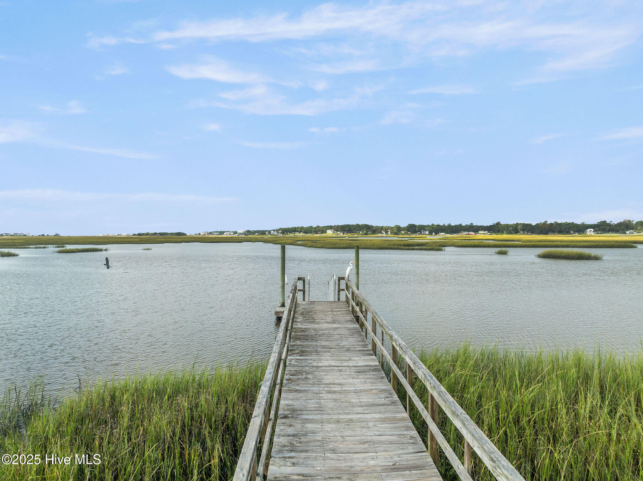 100488997 | Photo 100