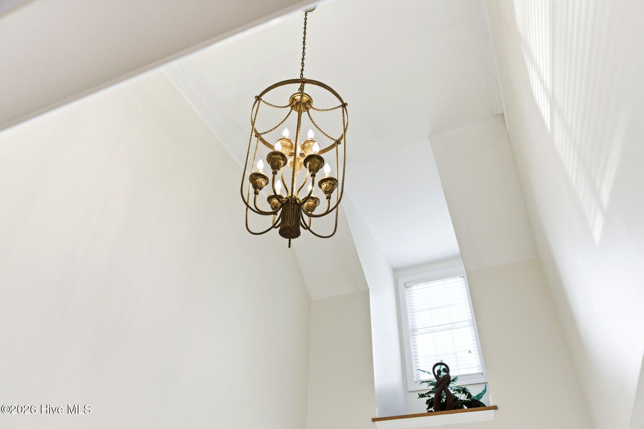 100564918 | Photo 11