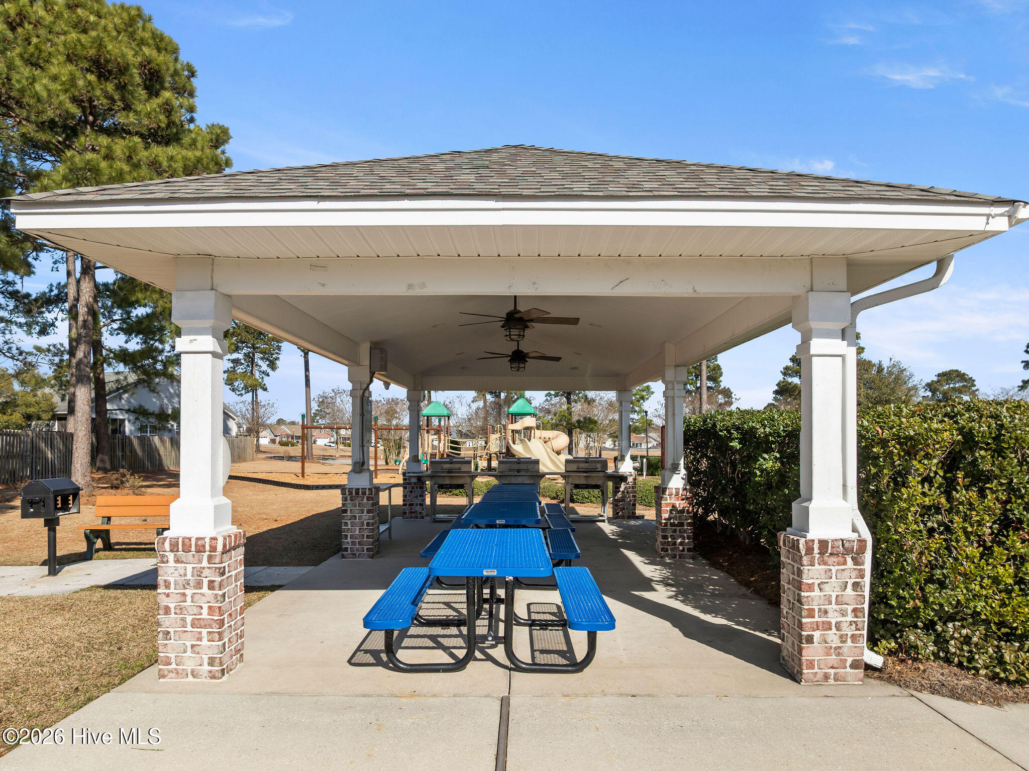 100563153 | Photo 41