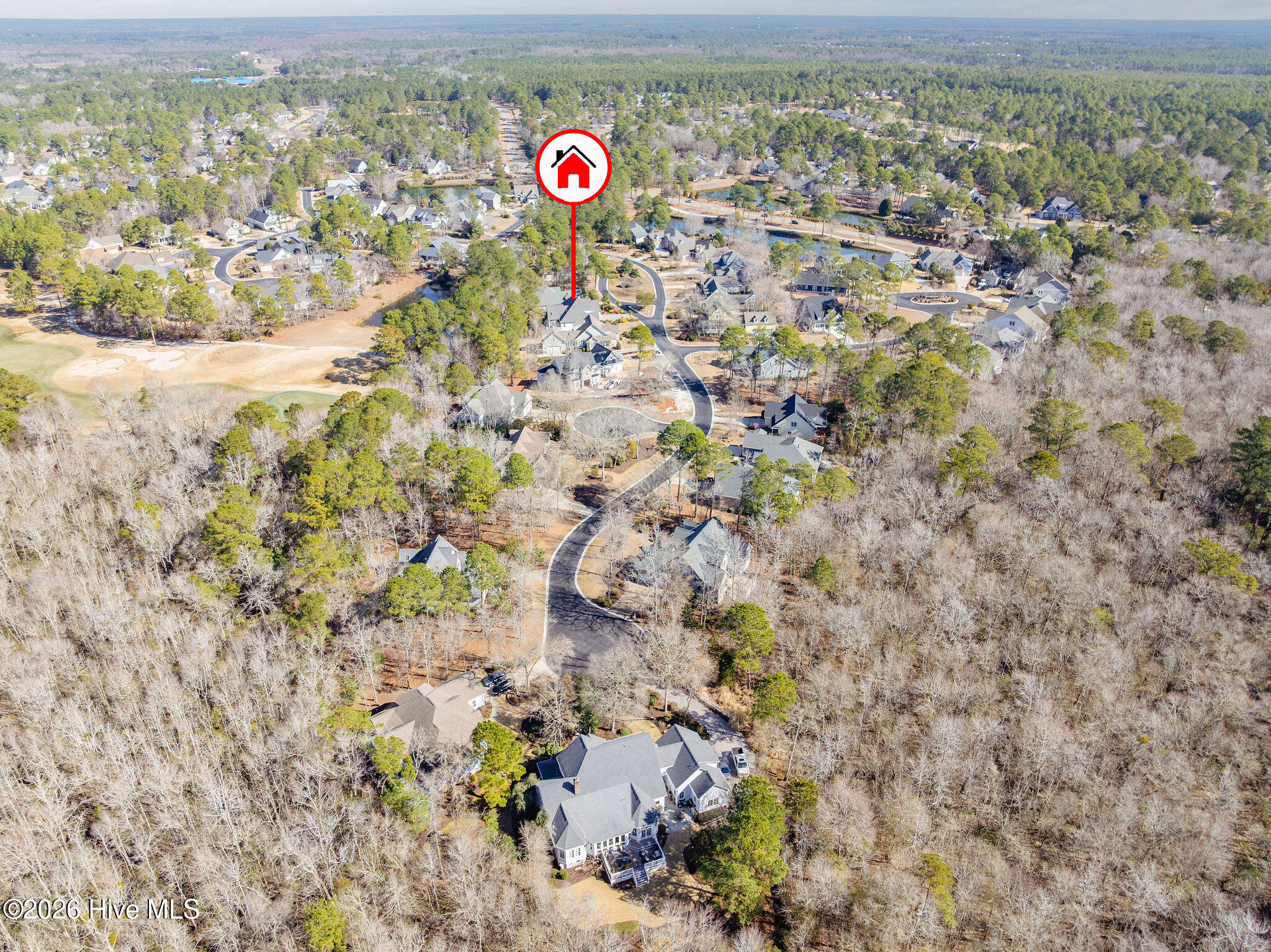 100557018 | Photo 62