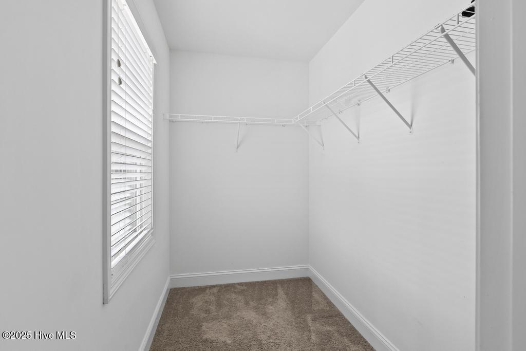 100552044 | Photo 21