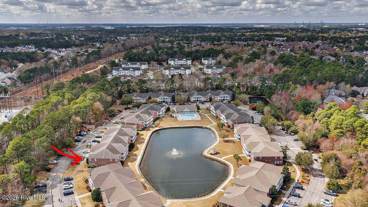 100559380 | Photo 45