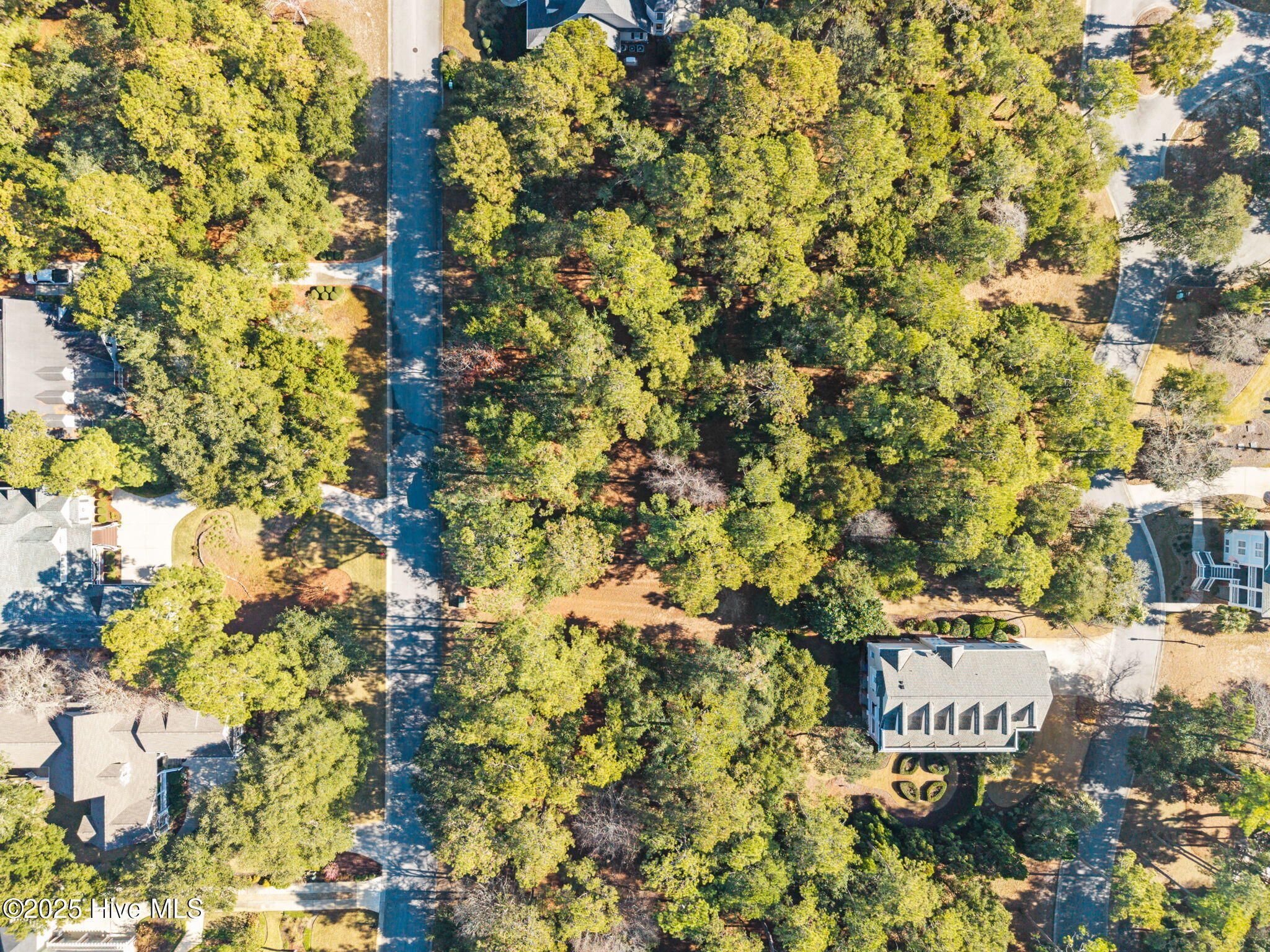 100545222 | Photo 28