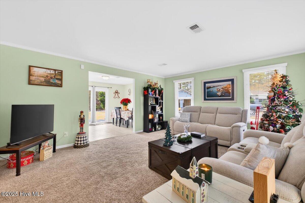 100545415 | Photo 11