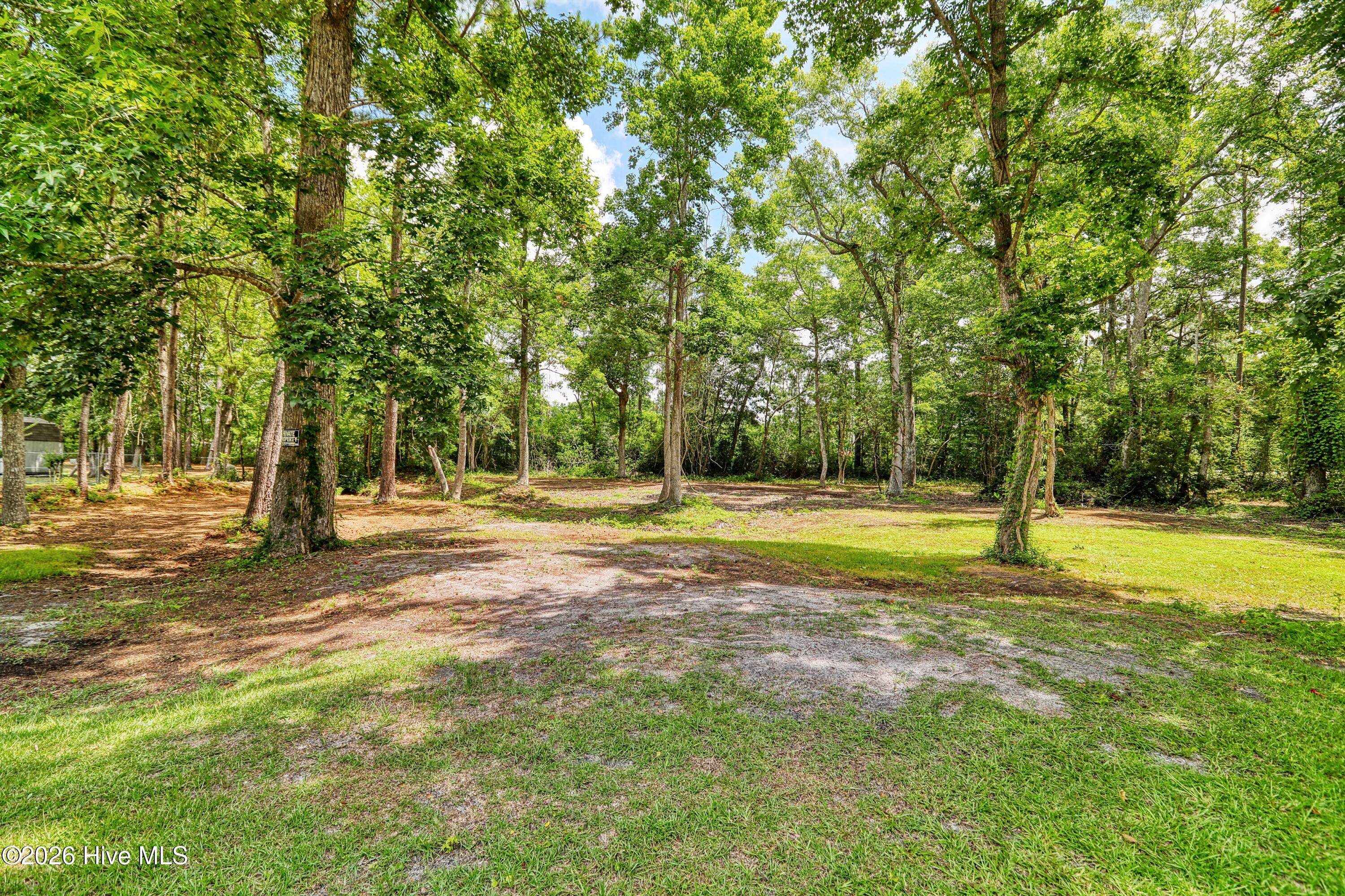 100568147 | Photo 37