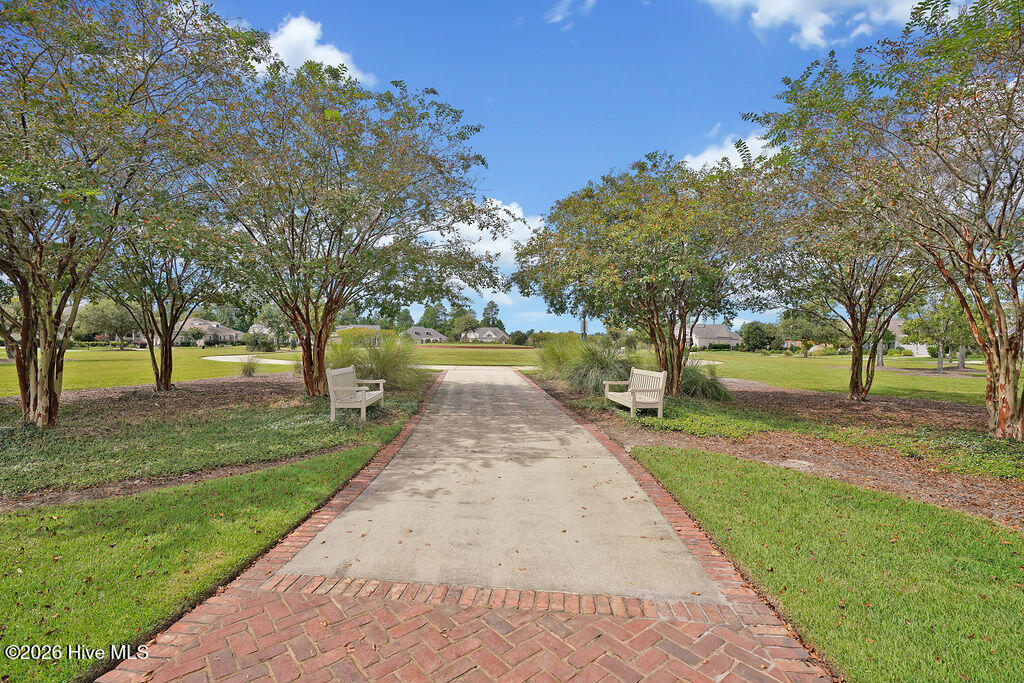 100565235 | Photo 162