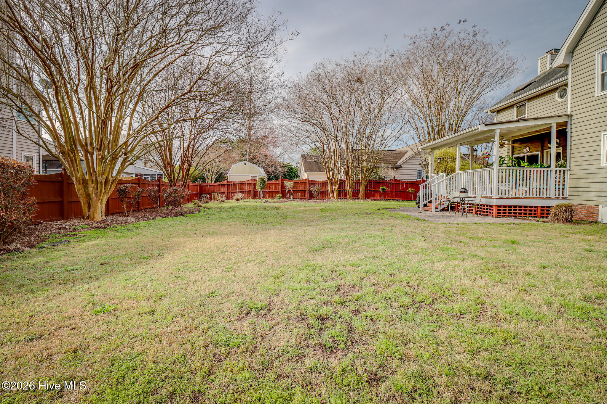 100559581 | Photo 29