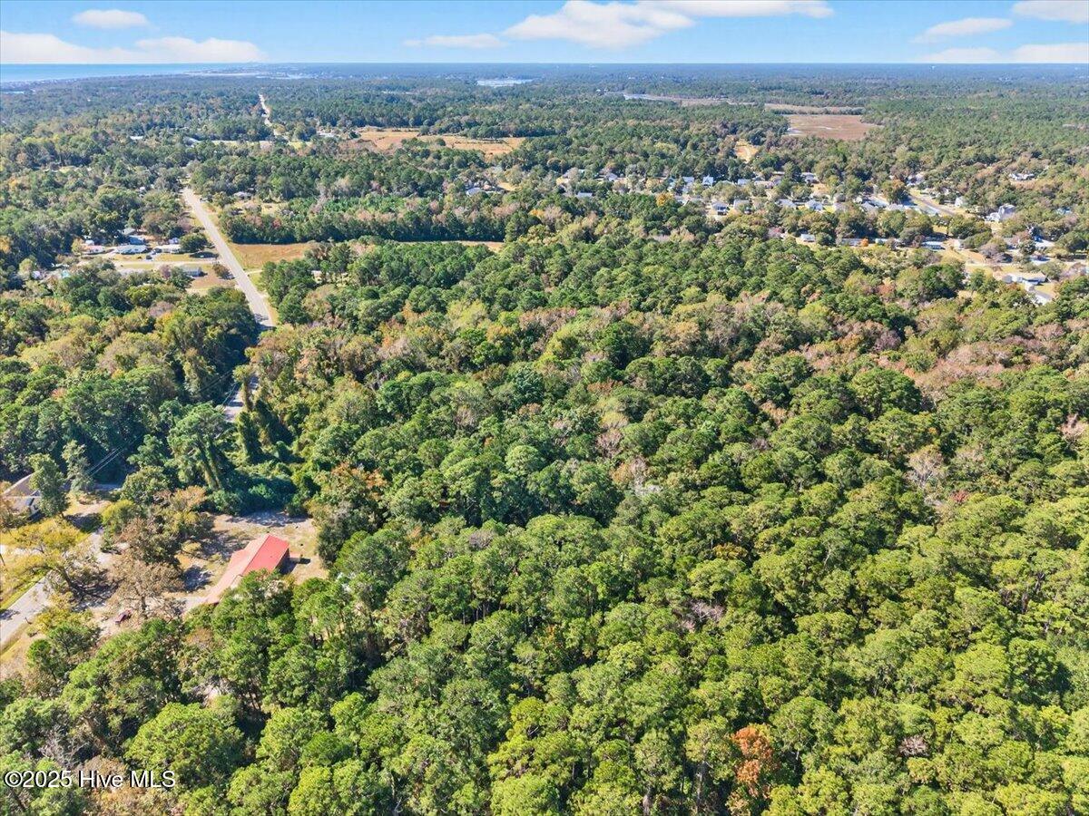 100538805 | Photo 18