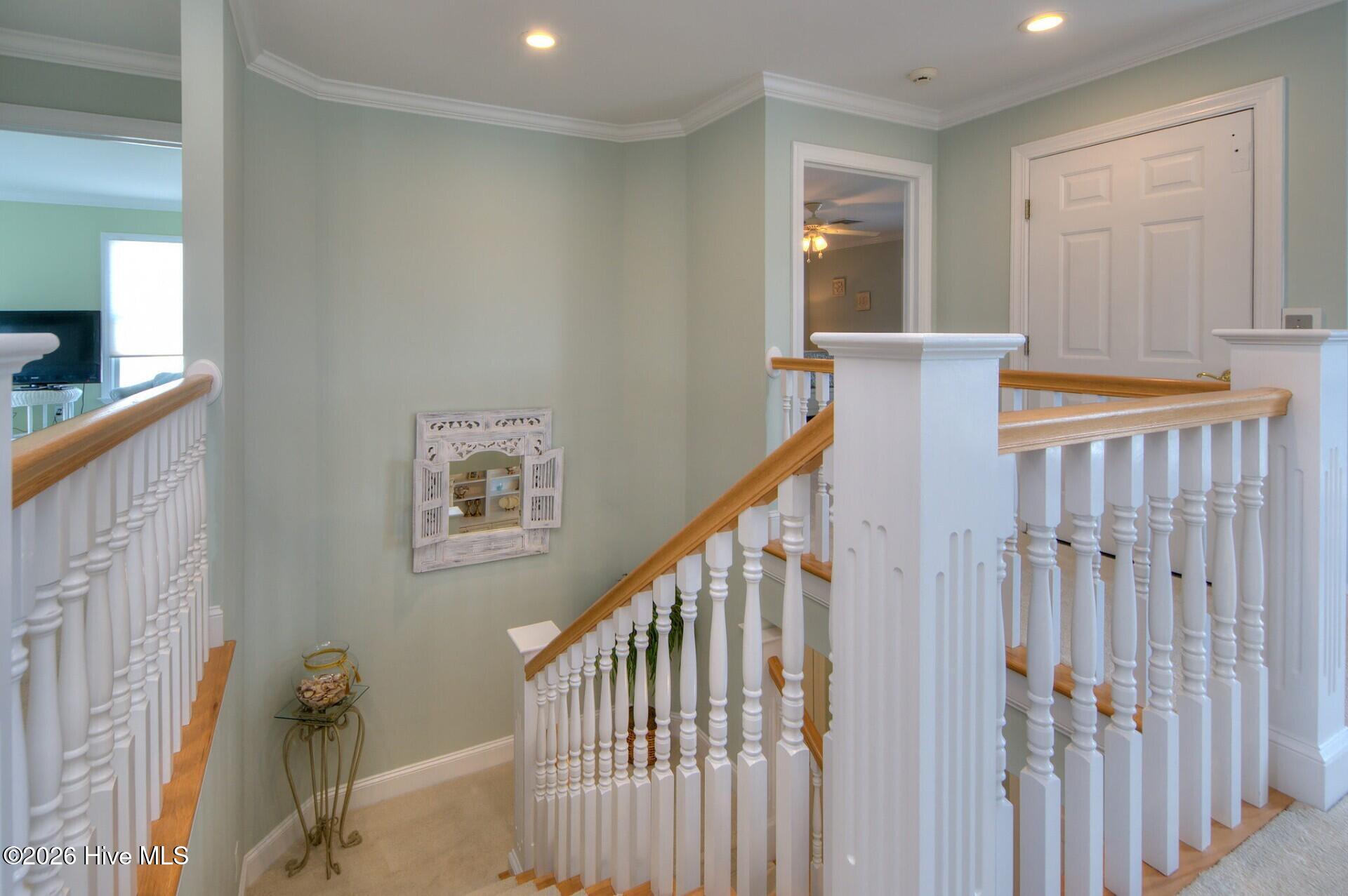 100553459 | Photo 56