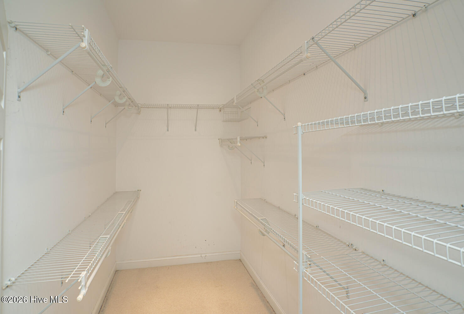 100551245 | Photo 29