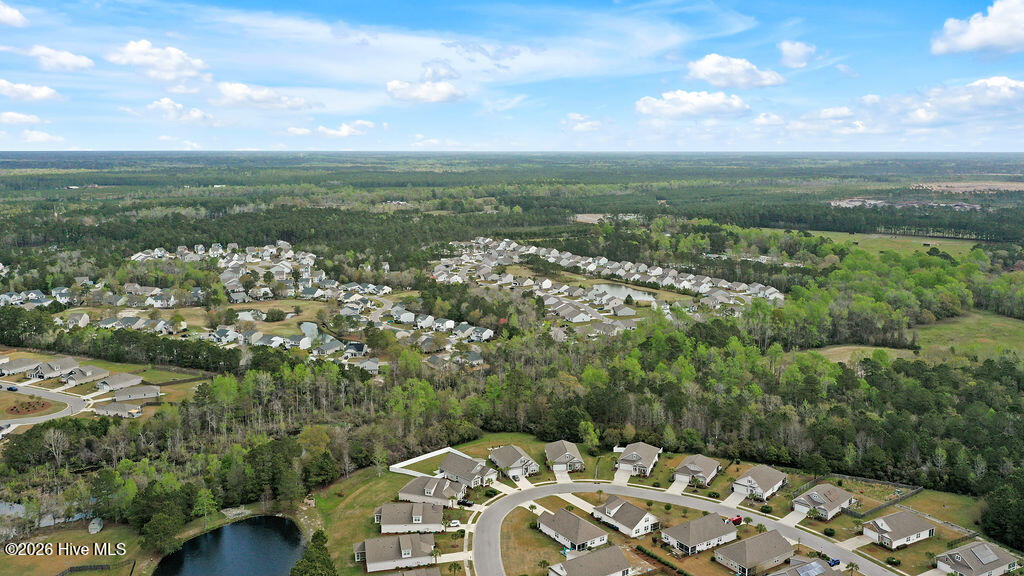 100565094 | Photo 41