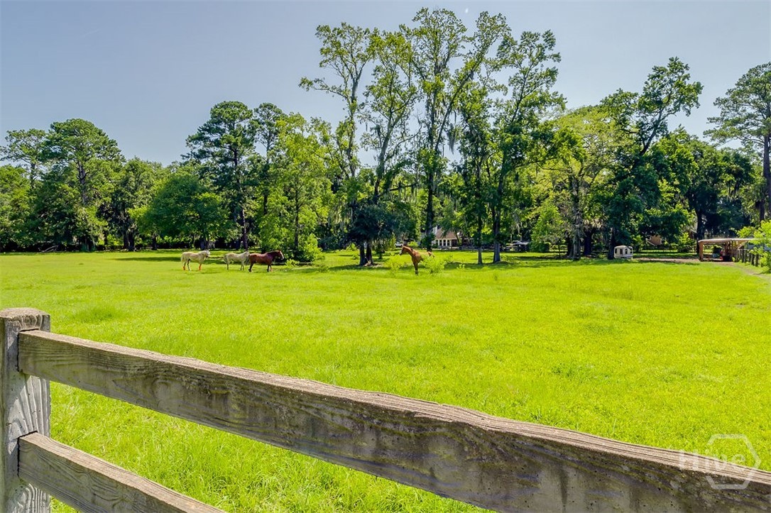 130 Schley Avenue, Savannah, GA 31419 Listing Photo  51