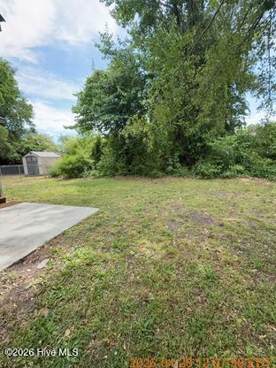 100570133 | Photo 14