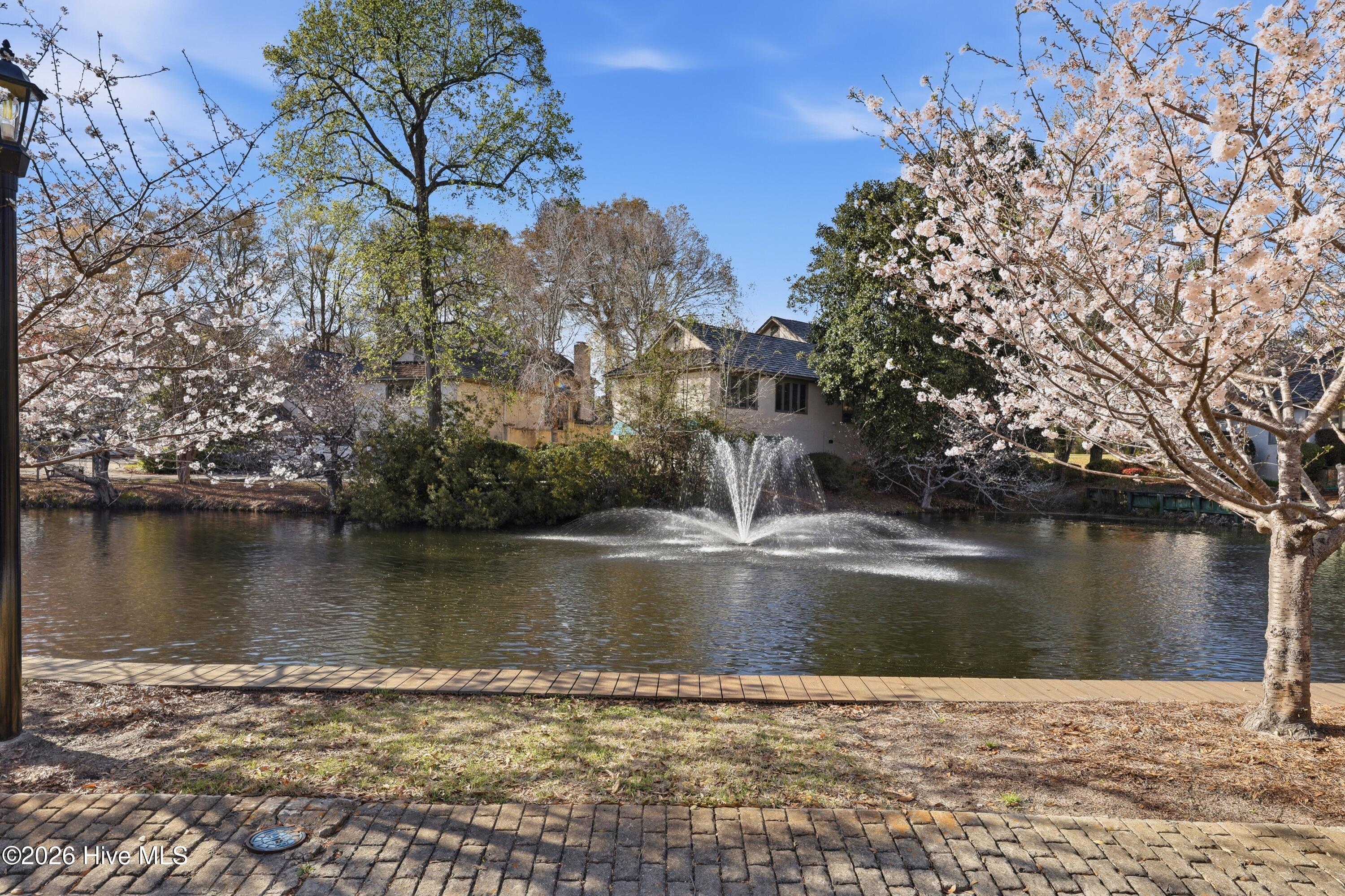 100561929 | Photo 25