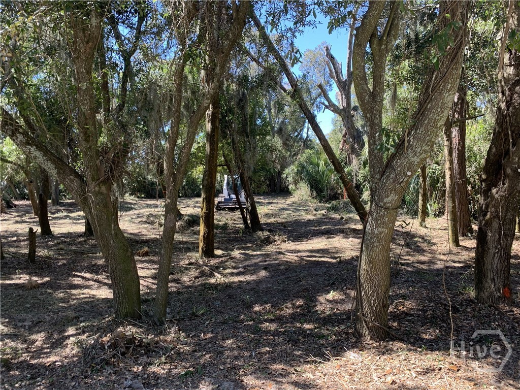 Photo 3 of Land for sale at 0 Mckenzie Ave, Tybee Island, GA 31328 | MLS# SA356630 | Listing updated on 2026-09-18
