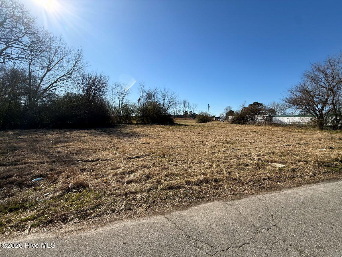 Off Of Franklin Street, Mount Olive, NC, 28365