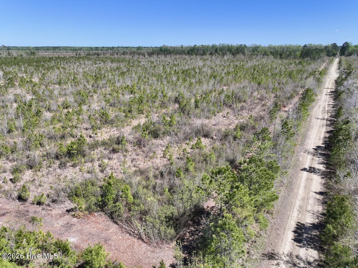 0 Guinea Mill Road, Ernul, NC, 28527