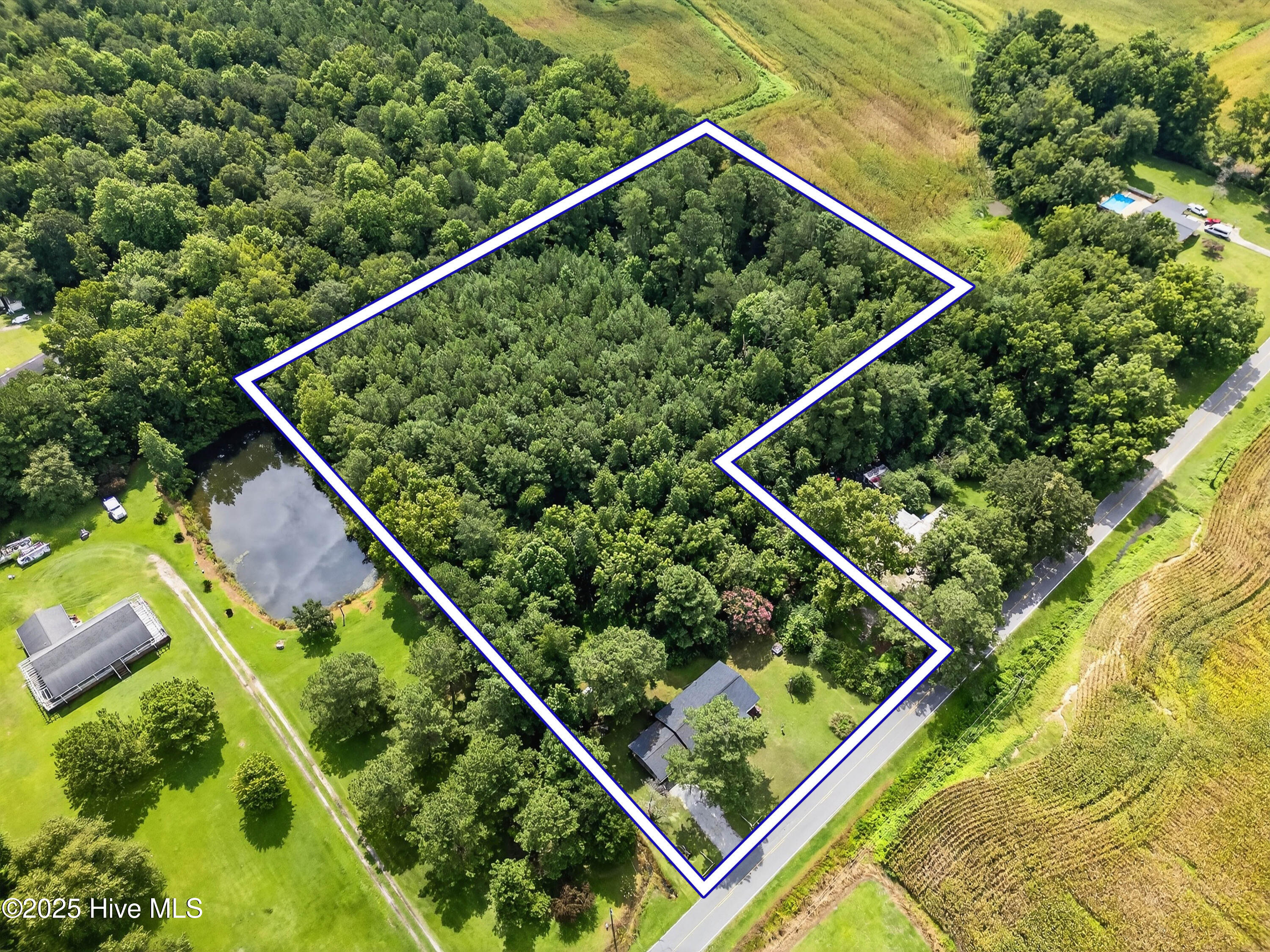 100521509 | Photo 12