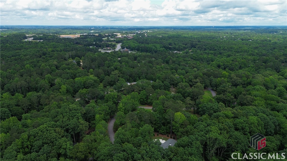 1041 Hollow Creek Way