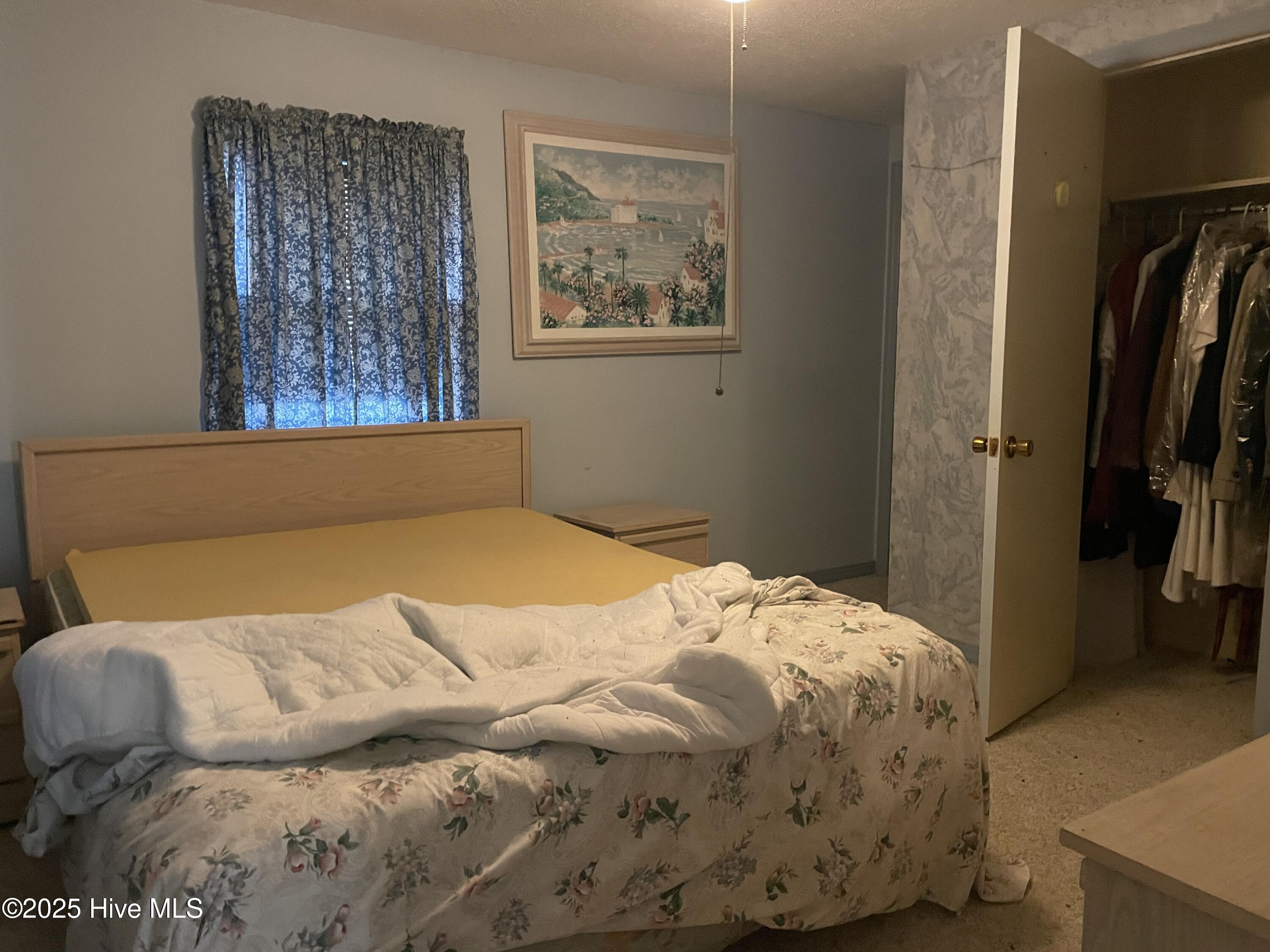 100546227 | Photo 21