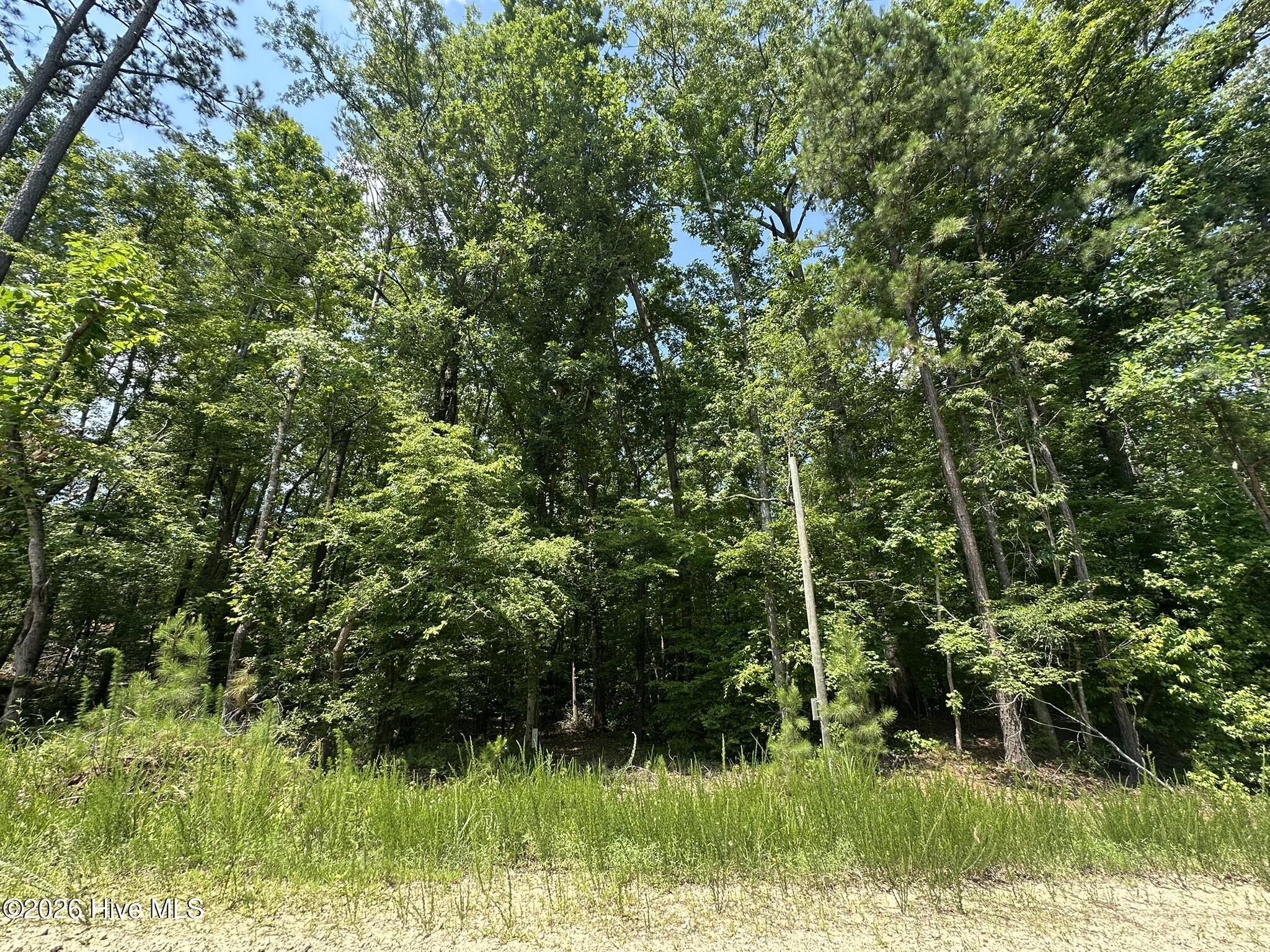 Lot 17 Lakeshore Estates, Lincolnton, Georgia, 0 ,Residential Lot,For sale,Lakeshore Estates,100581081 Lot 17 Lakeshore Estates, Lincolnton, Georgia, 0 ,Residential Lot,For sale,Lakeshore Estates,100581081