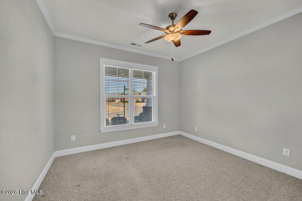 100553772 | Photo 15