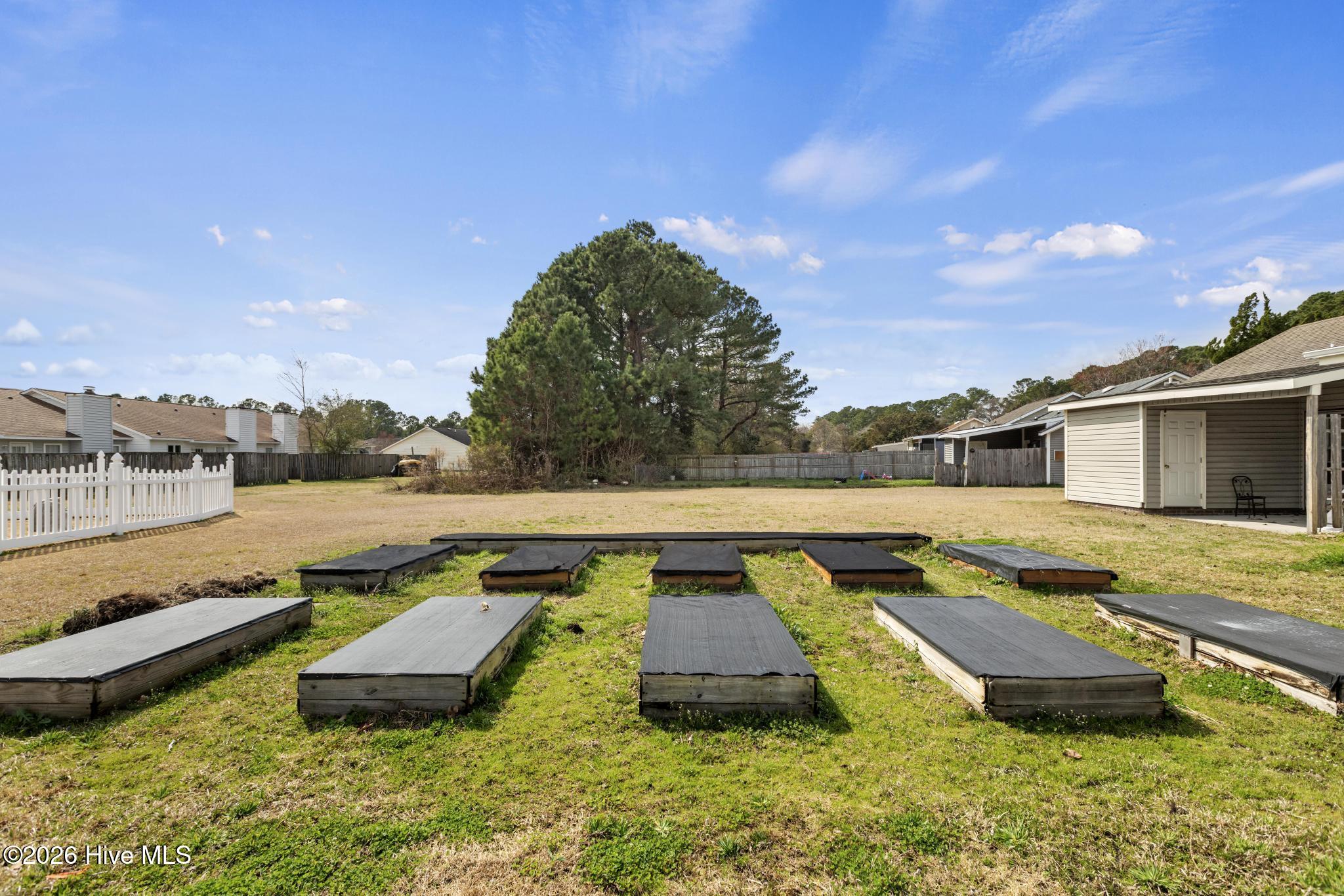 100558946 | Photo 20