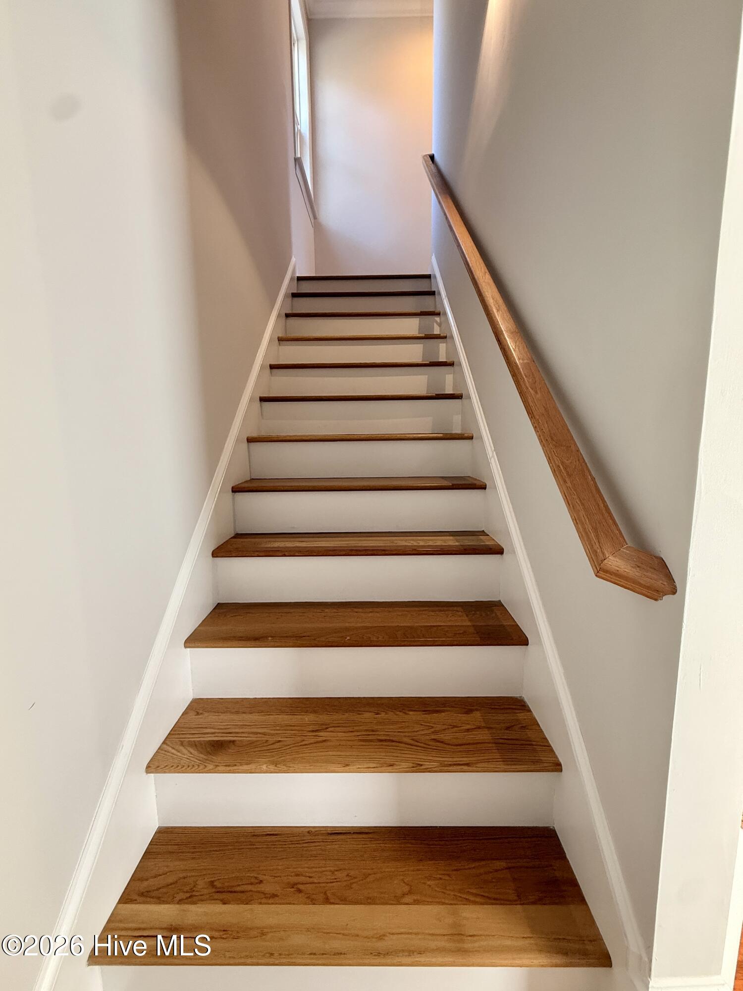 100564969 | Photo 12