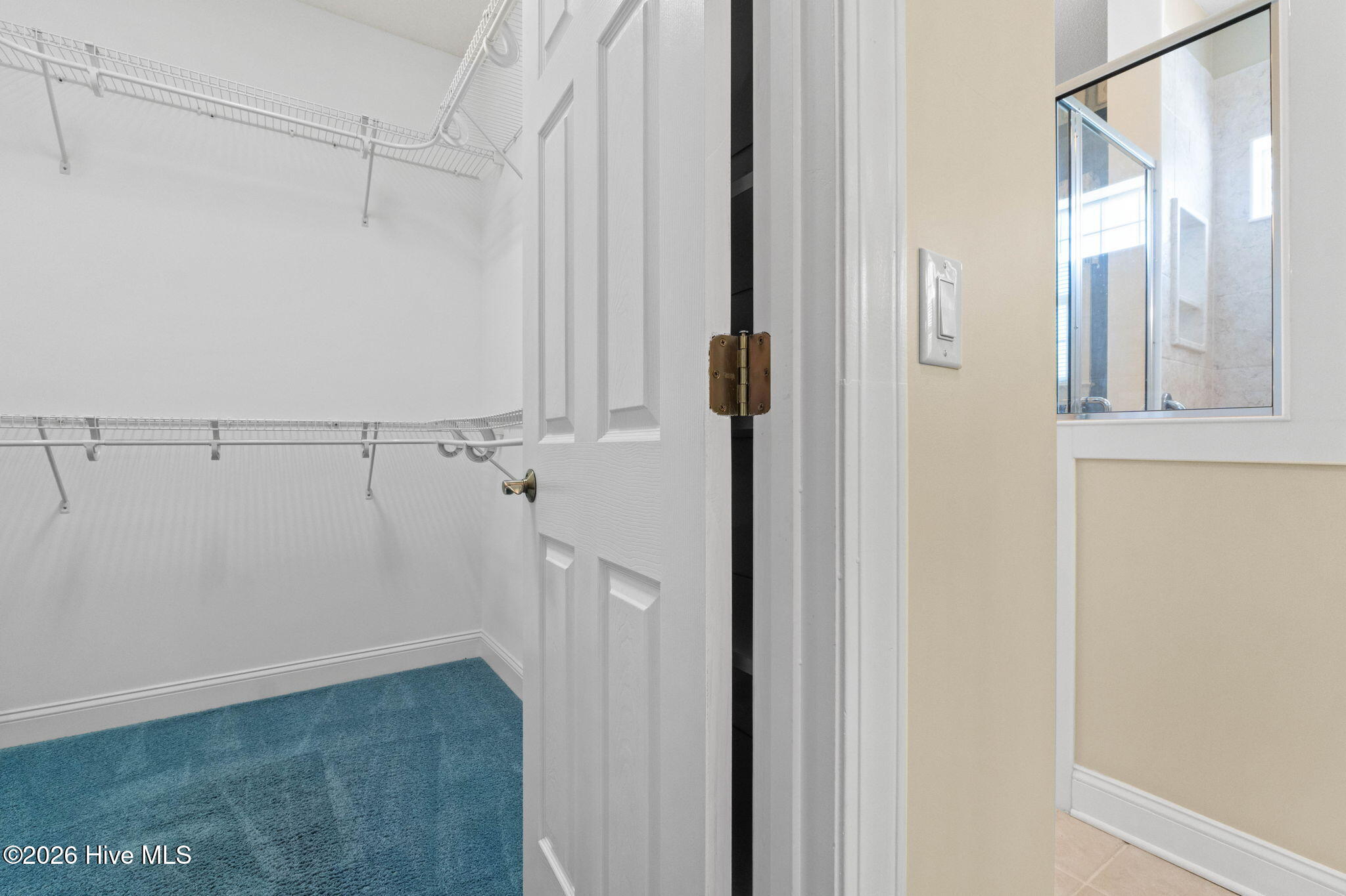 100567537 | Photo 41