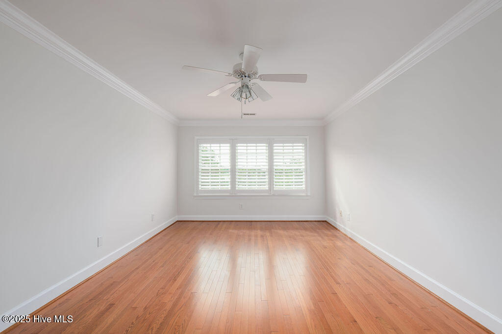 100521918 | Photo 36