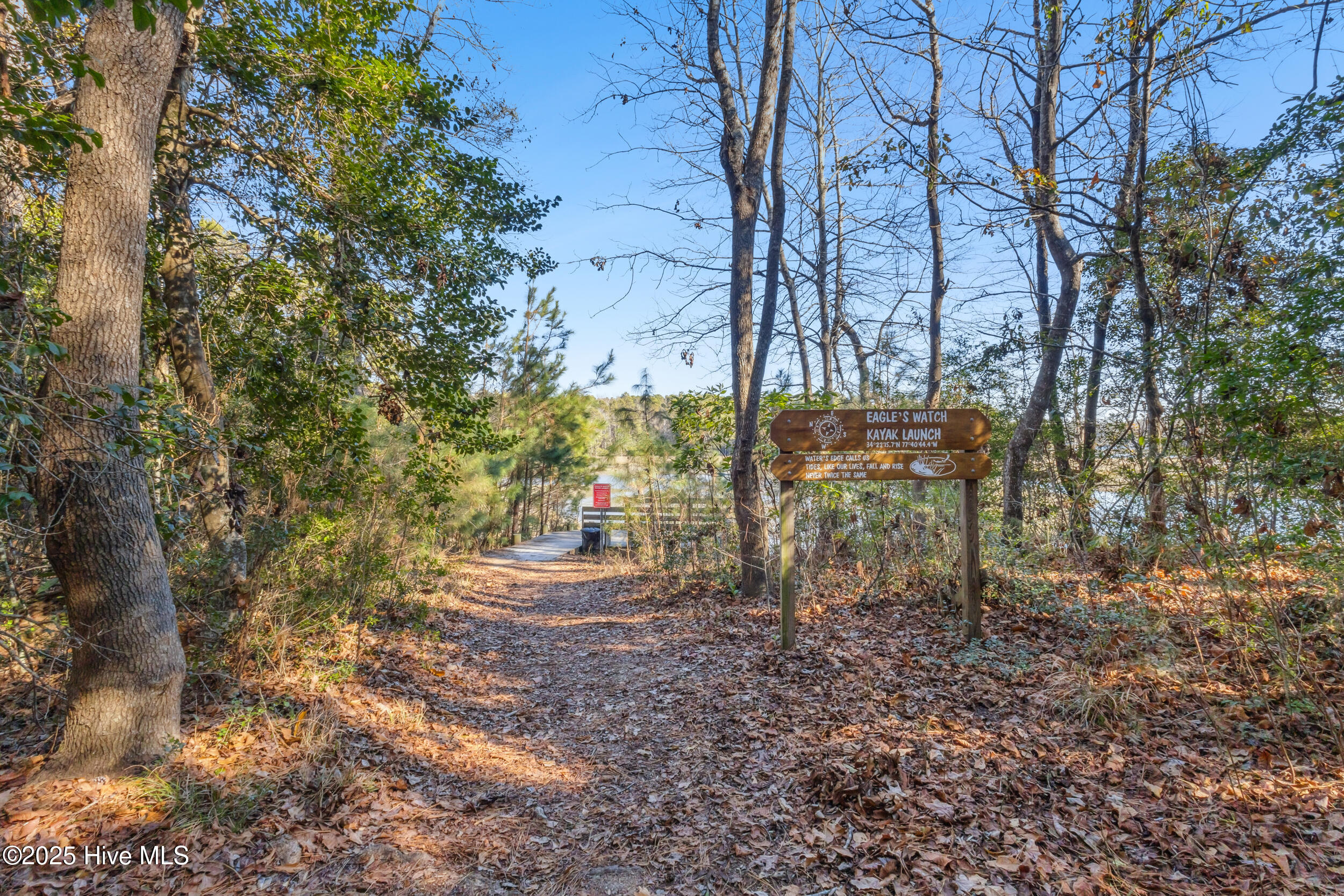 100518593 | Photo 72