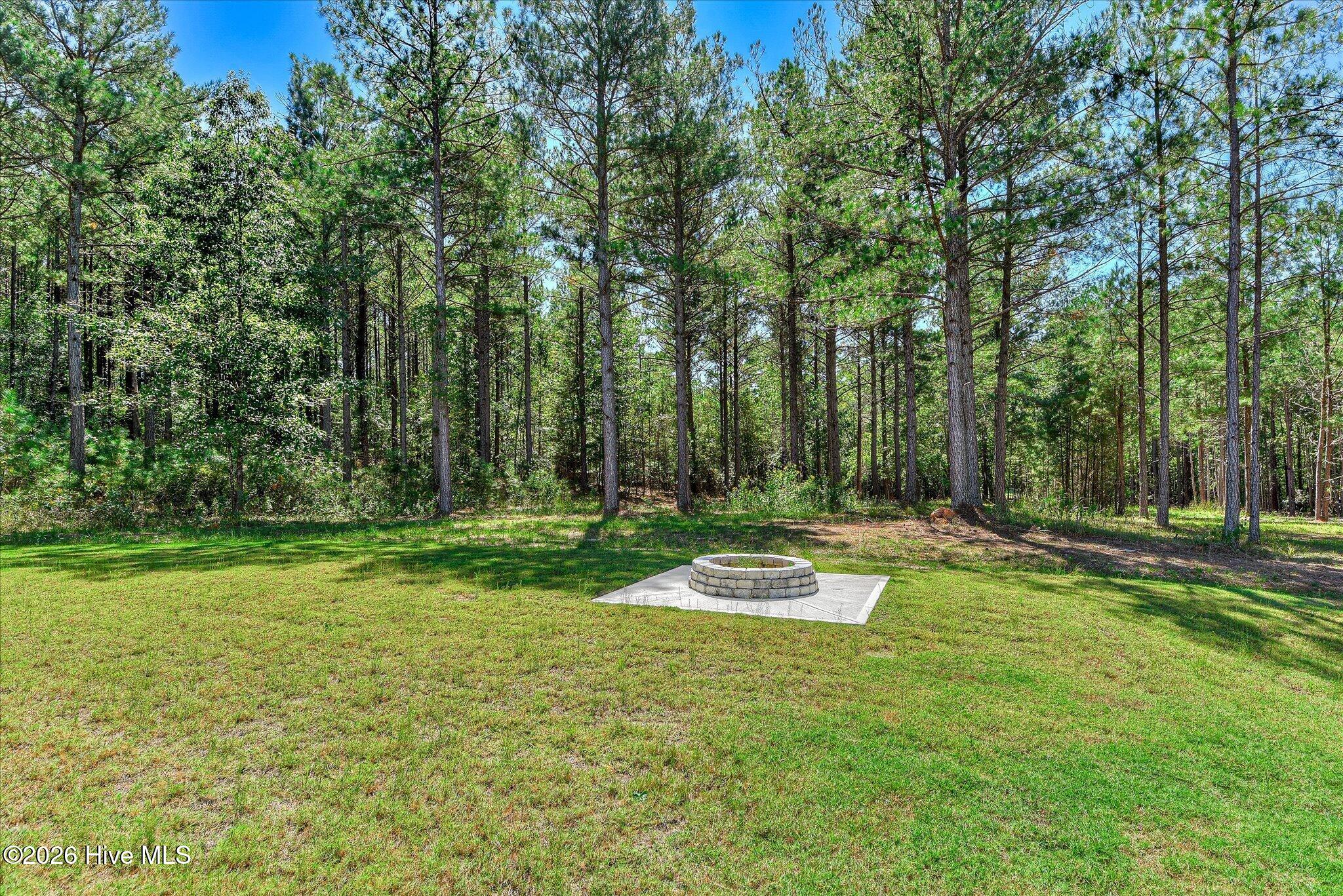 Large backyard with fire pit and trail to the lake, lot is dockable when water levels return to normal.